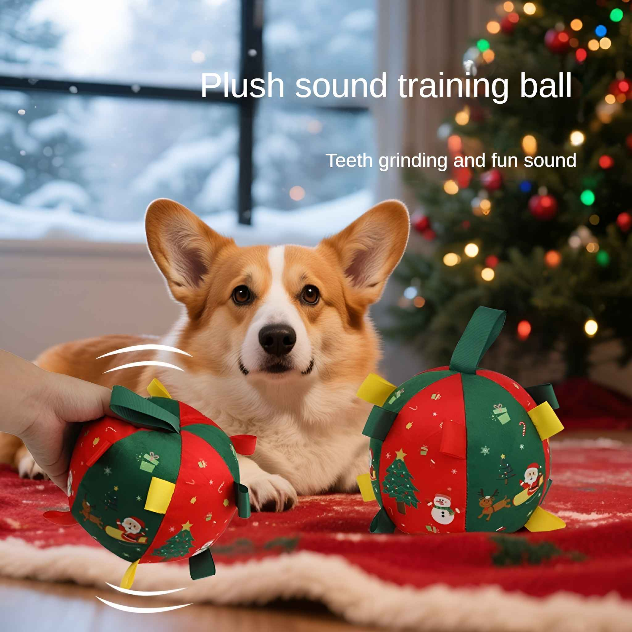 Ein Corgi-Hund liegt in der Nähe von zwei Weihnachtstrainingsbällen. Einer wird von einer Hand gehalten. Ein Weihnachtsbaum ist im Hintergrund.