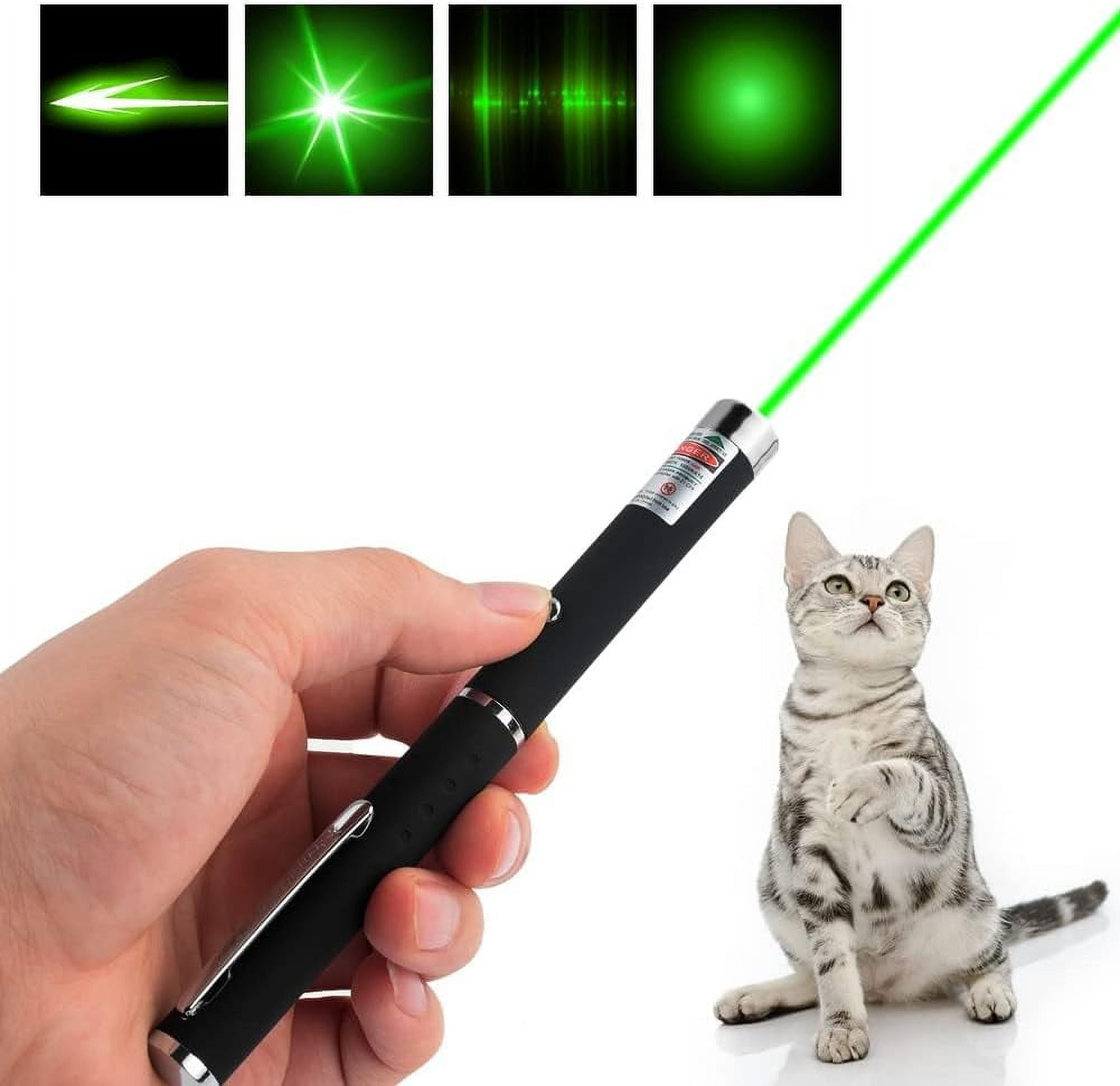 Eine Hand hält einen schwarzen Laserpointer, der einen grünen Strahl aussendet und auf eine grau getigerte Katze zeigt, die nach oben schaut.