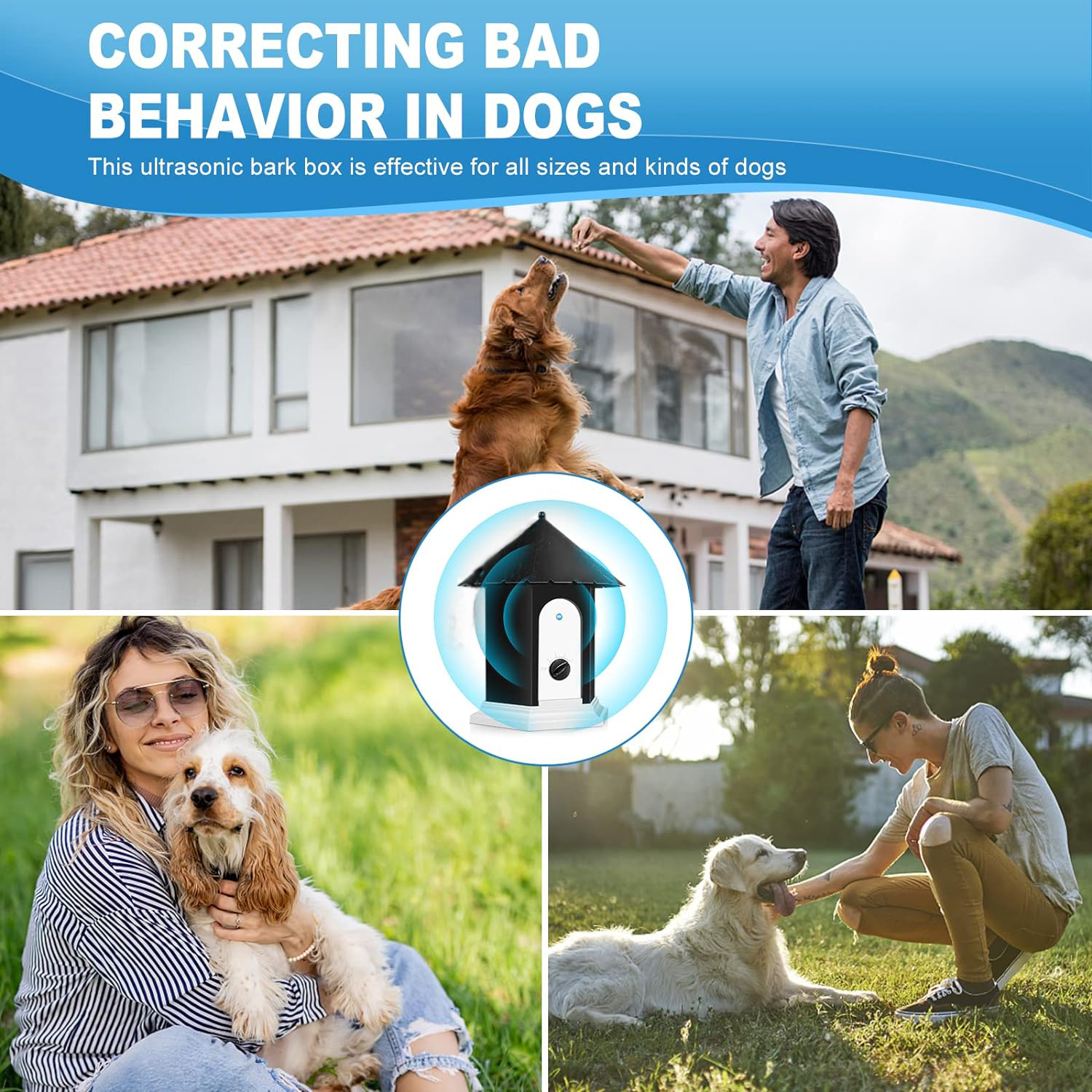 Das Bild zeigt einen Mann, der mit einem Hund interagiert, mit Text zur Korrektur des Hundeverhaltens. Andere Bilder zeigen Hunde und Menschen.