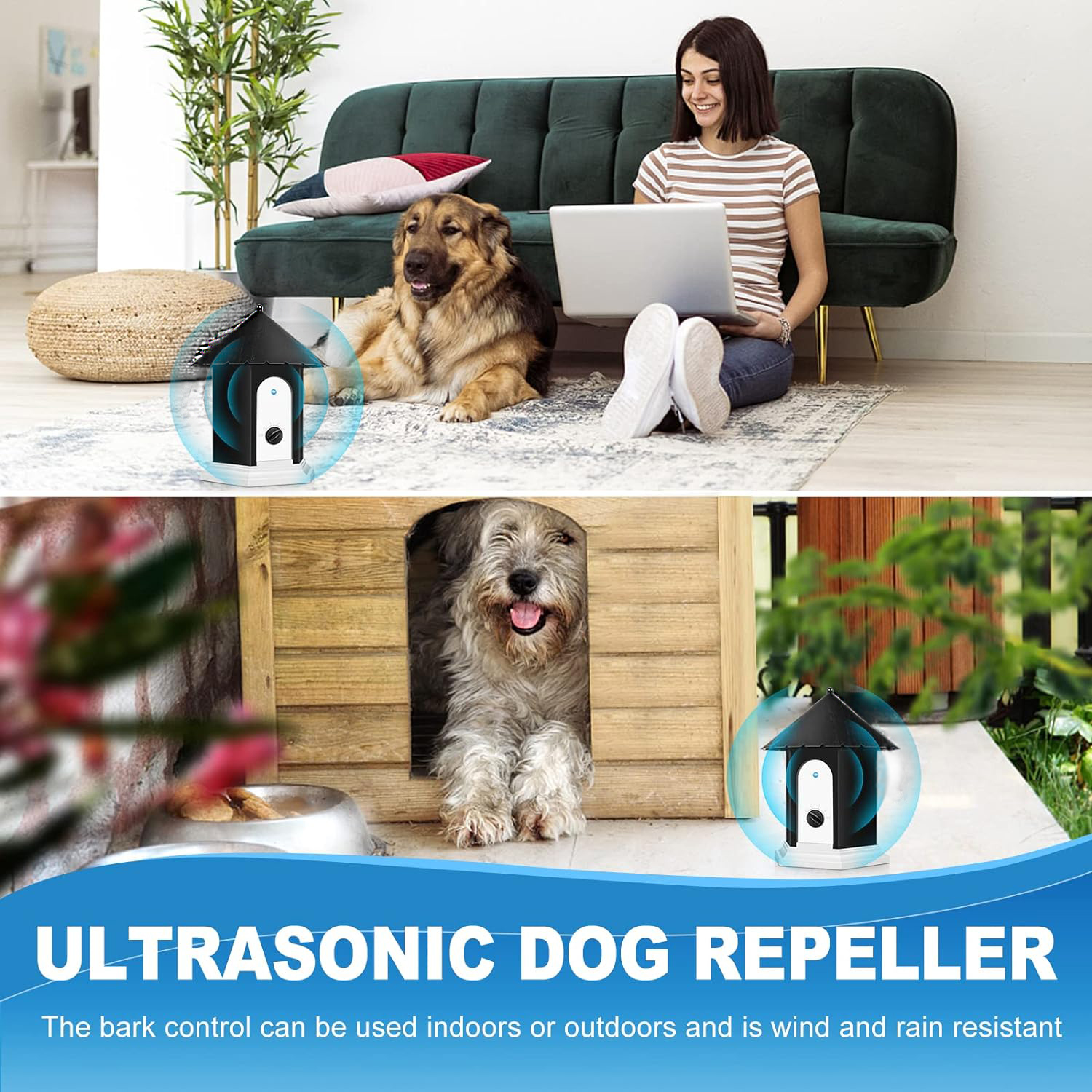 Eine Frau sitzt mit einem Laptop in der Nähe eines Hundes. Ein anderer Hund ist in einem Hundehäuschen. Ein Ultraschall-Hundeabwehrgerät wird hervorgehoben.