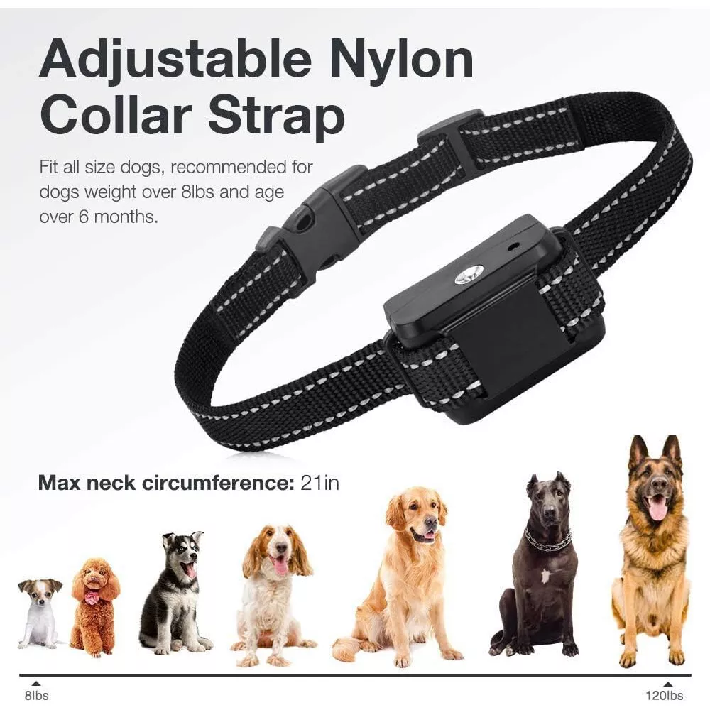 Schwarzes Nylon-Halsband mit weißen Nähten und einer schwarzen Steuerbox. Text: Verstellbarer Nylon-Kragenriemen. Mehrere Hunde sind abgebildet.