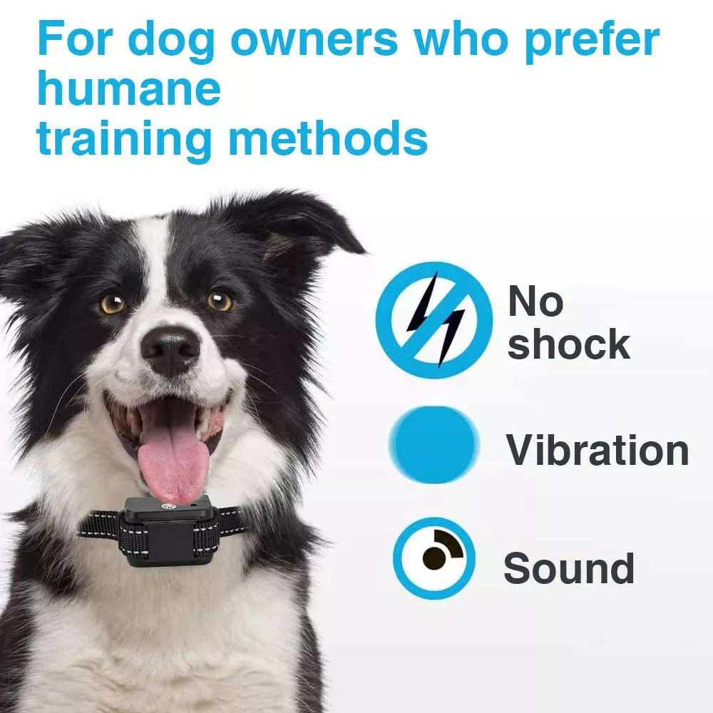 Ein schwarz-weißer Hund mit einem Trainingshalsband. Text: 'Für Hundehalter, die humane Trainingsmethoden bevorzugen'.
