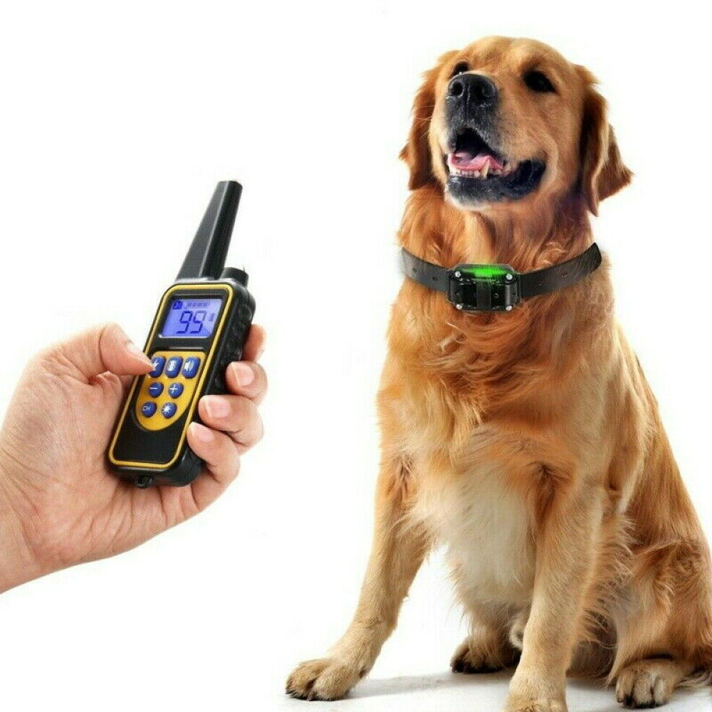 ELKUAIE Fernbedienbares Hundetrainingsgert Mit Halsband | SATURN