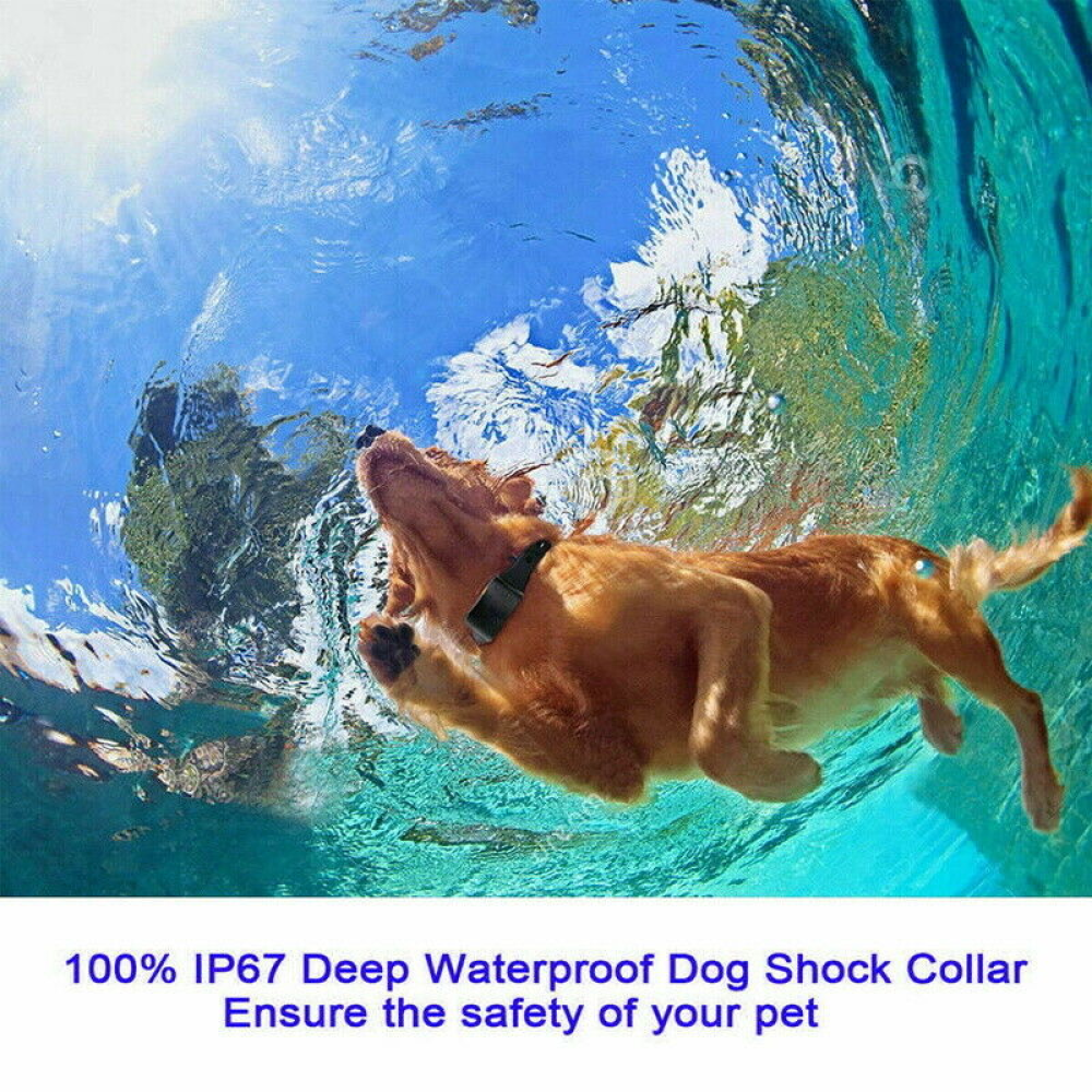 halsband mit wasser für hunde Vitomalia Wasserhalsband mit strukturiertem HydroTex-Gummi für Hunde main image 1