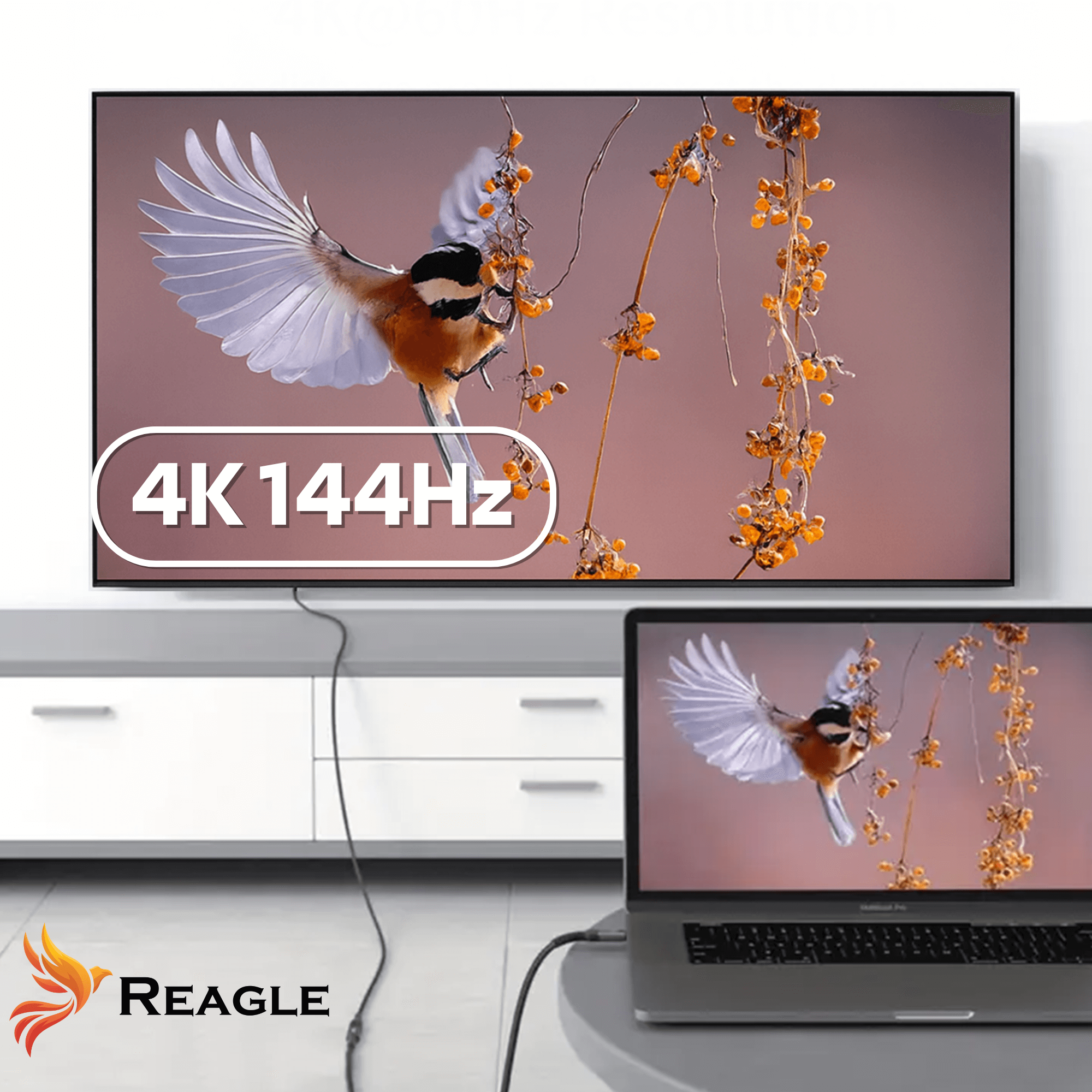 Telewizor i laptop pokazują obraz ptaka. Telewizor wyświetla 4K 144Hz. Kabel je łączy. Logo Reagle na dole.
