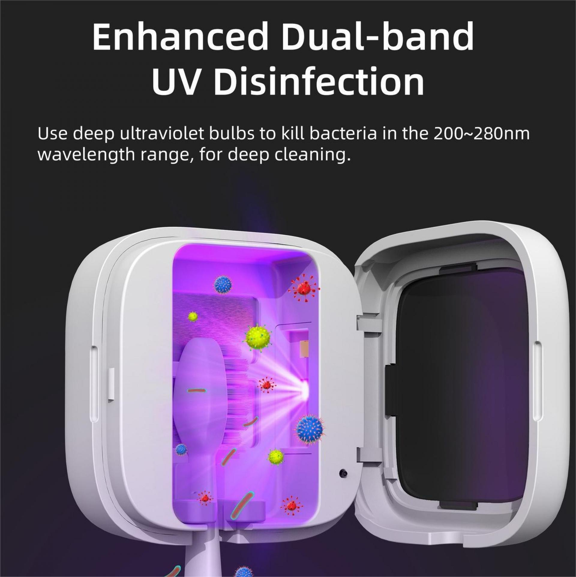 UV-Desinfektionsgerät mit offenem Deckel, das violettes Licht und Keime zeigt. Text weist auf Dualband-UV für Tiefenreinigung hin.