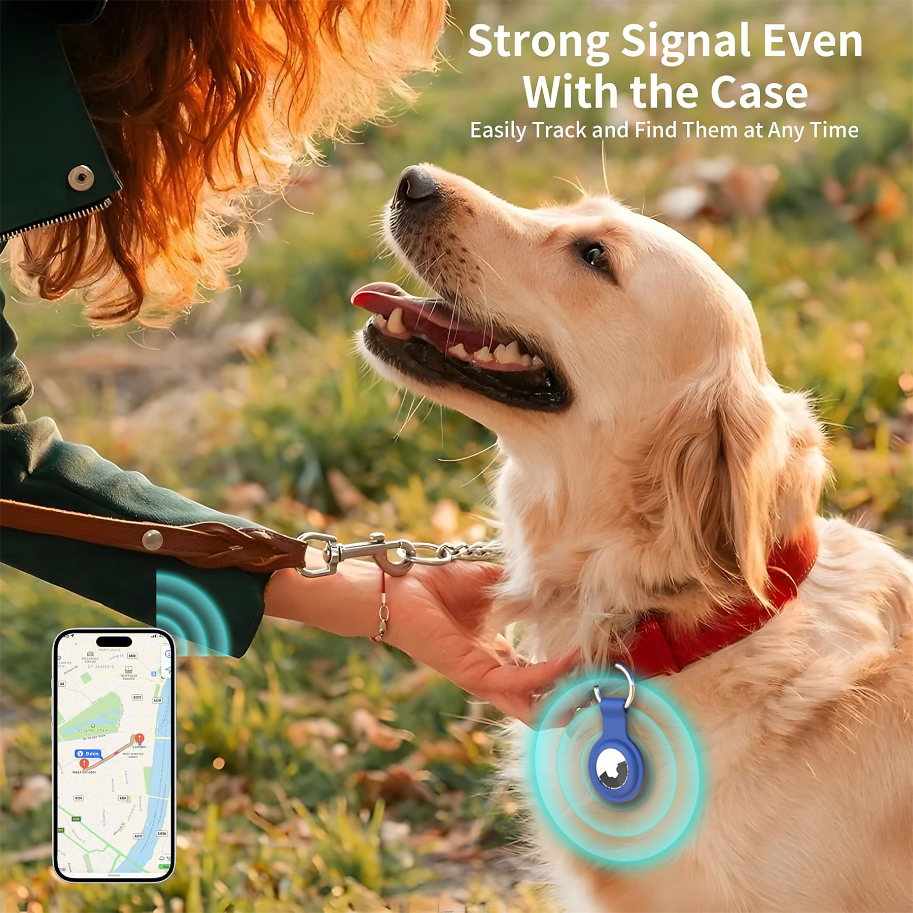 Ein Golden Retriever mit rotem Halsband wird an einer Leine gehalten. Ein Telefon zeigt eine Karte. Ein blaues Etikett ist am Halsband des Hundes befestigt.