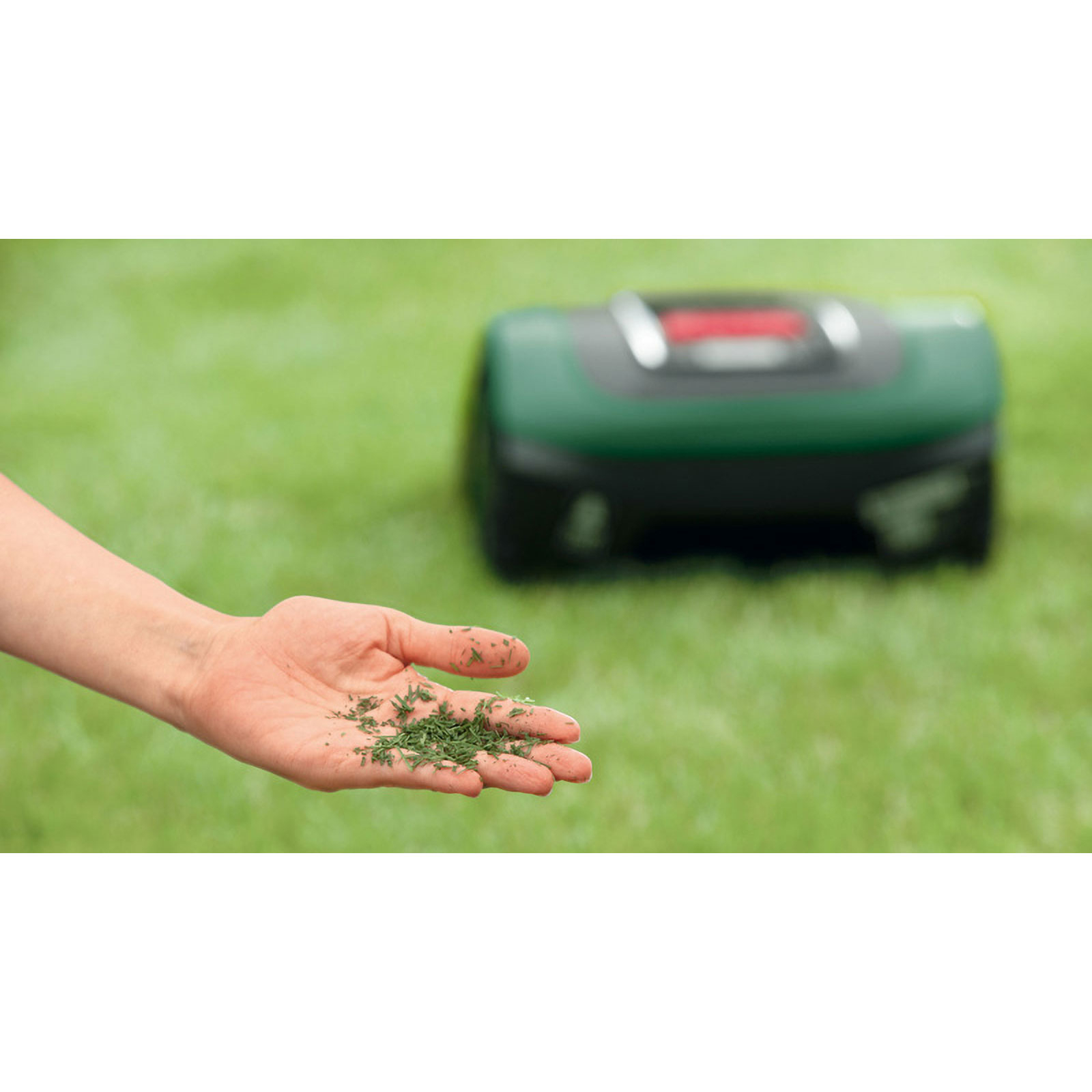 Eine Hand hält geschnittenes Gras, im Hintergrund ein Rasenmäher. Der Rasen ist grün.