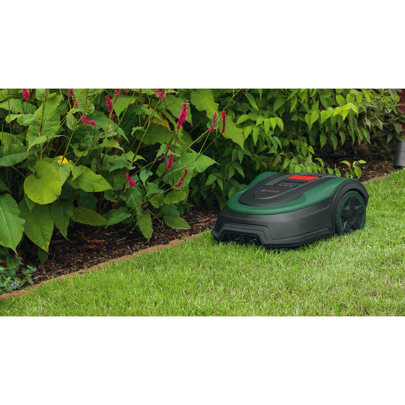 Ein Roboter-Rasenmäher auf grünem Gras neben Büschen. Der Mäher ist schwarz und grün.