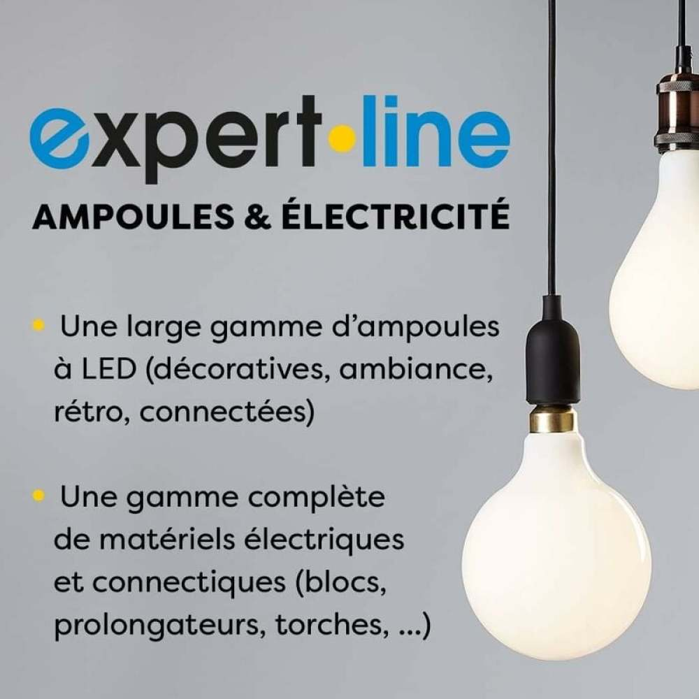 Das Bild zeigt das Logo 'expert line' mit Glühbirnen. Der Text beschreibt LED-Lampen und Elektromaterialien. Zwei Glühbirnen hängen von oben.