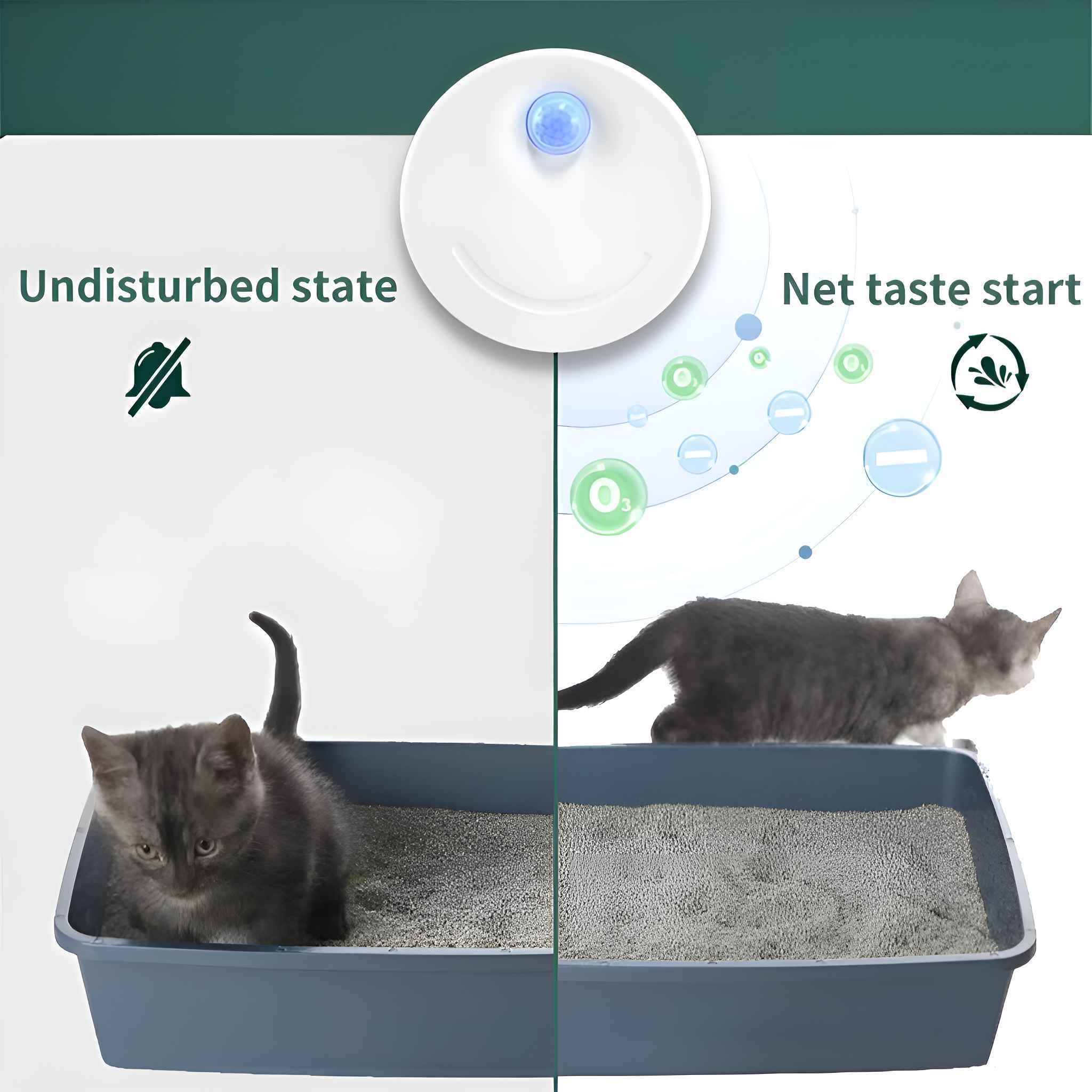 Das Bild zeigt eine in zwei Teile geteilte Katzentoilette. Die linke Seite zeigt eine Katze in der Box, die rechte Seite eine Katze, die die Box betritt.
