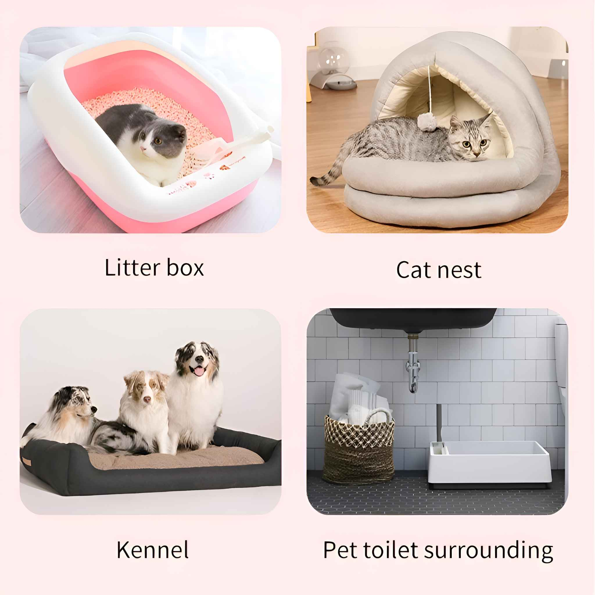 Eine Katze sitzt in einer Katzentoilette. Eine Katze liegt in einer Katzenhöhle. Drei Hunde auf einem Zwinger. Haustier-Toilettenumgebung.