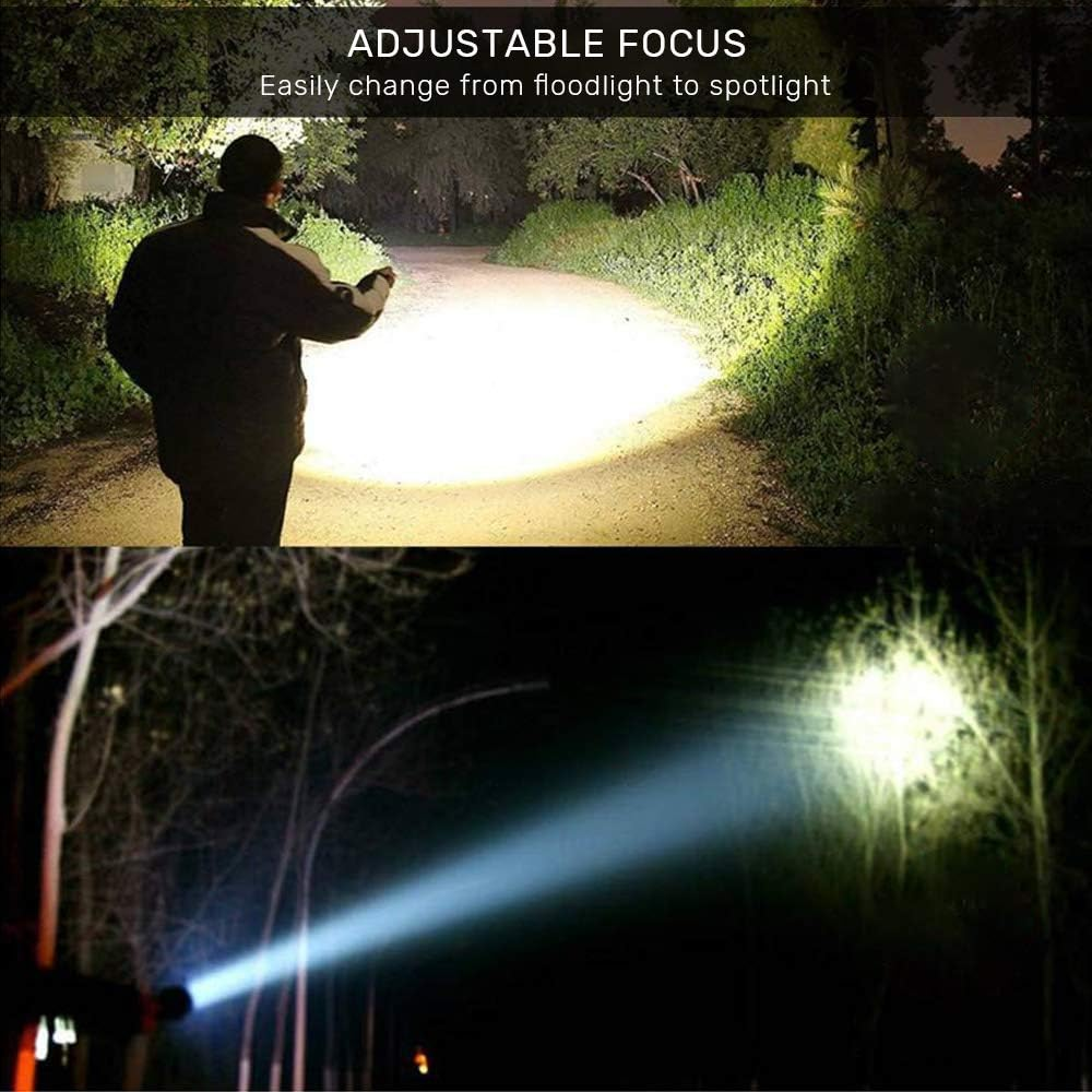 Eine Person mit einer Taschenlampe beleuchtet einen Pfad in einem Wald. Der Lichtstrahl leuchtet und beleuchtet den Boden.