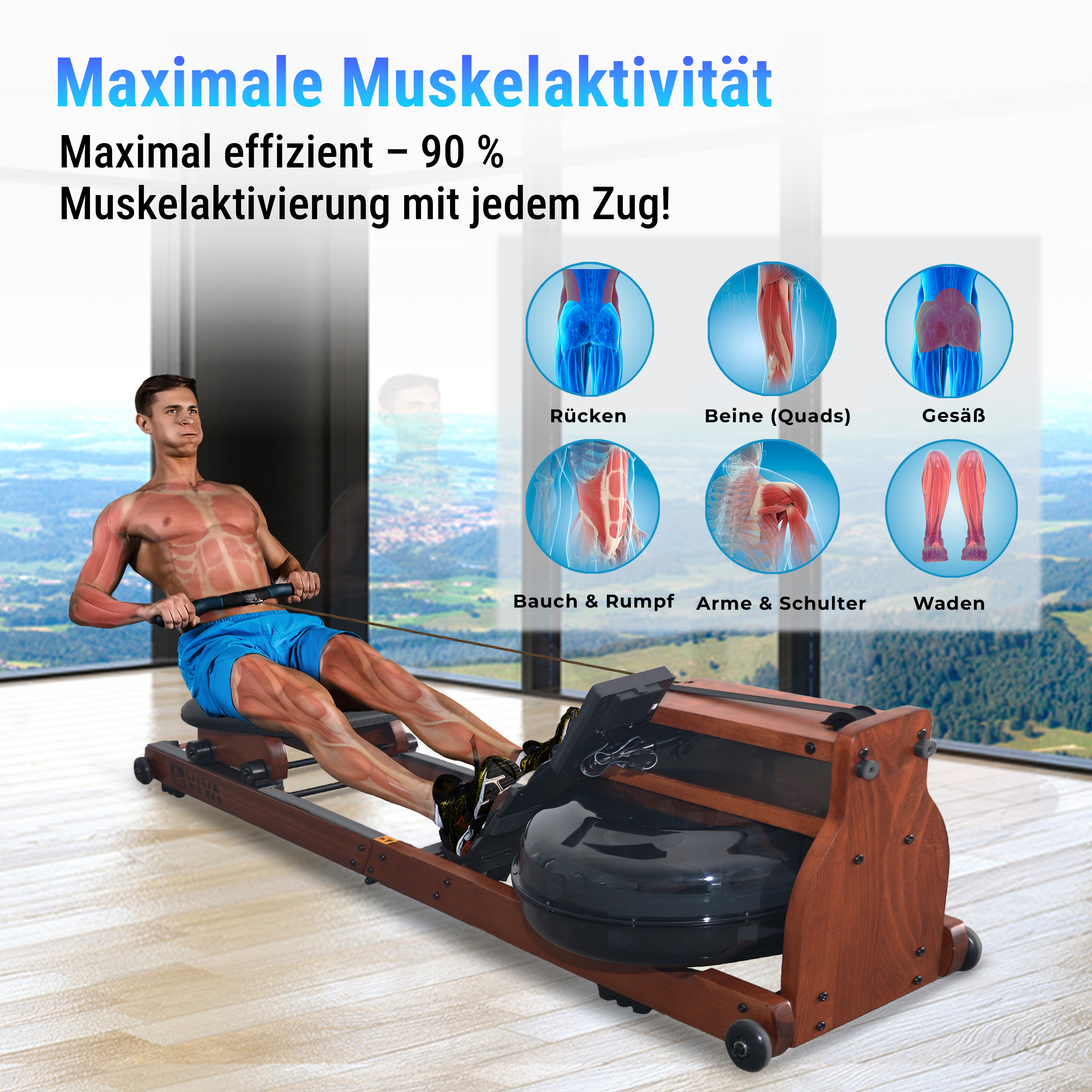 Mann benutzt Rudergerät. Muskeldiagramme zeigen, welche Muskeln während der Übung aktiviert werden.