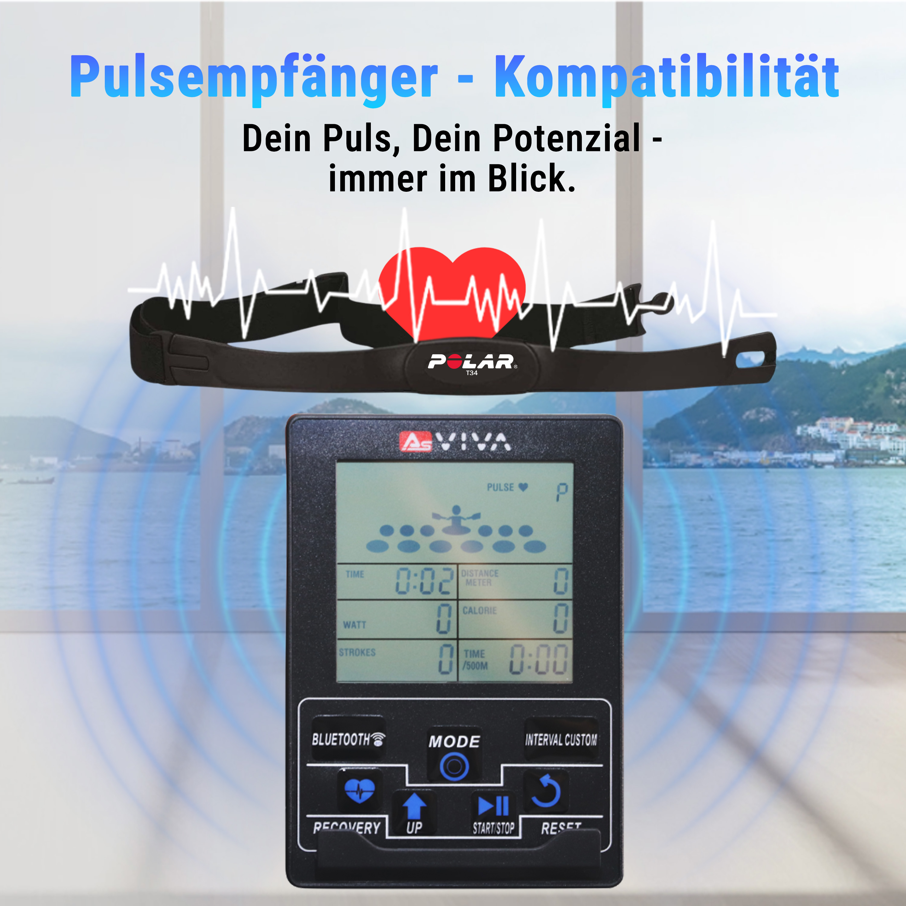 Ein Herzfrequenzmesser und ein Fitness-Display. Das Display zeigt Trainingsdaten mit landschaftlichem Hintergrund.