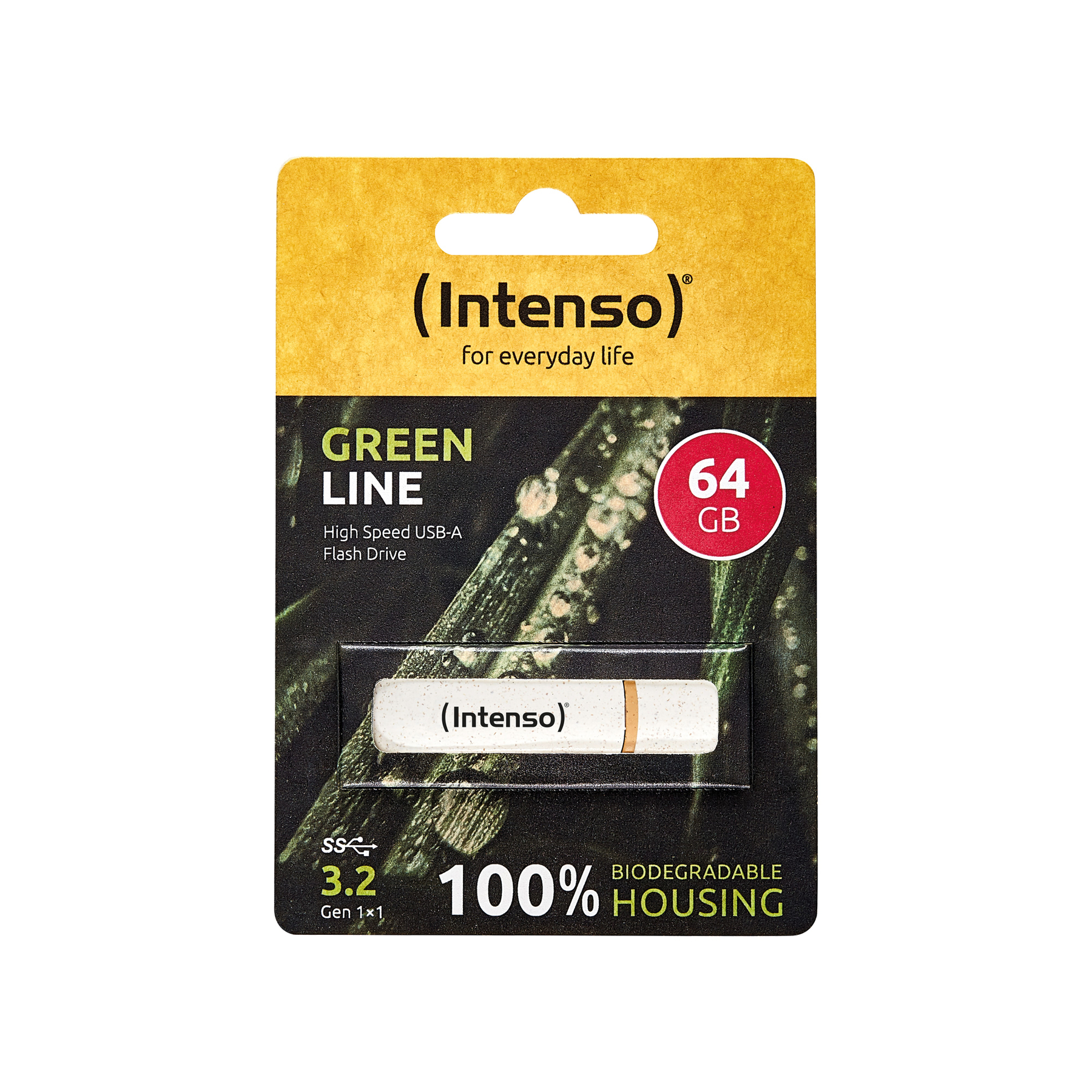 Eine Flash-Laufwerk-Verpackung der Marke (Intenso). Es ist ein 64GB USB-A-Laufwerk, grüne Linie und 100% biologisch abbaubares Gehäuse.