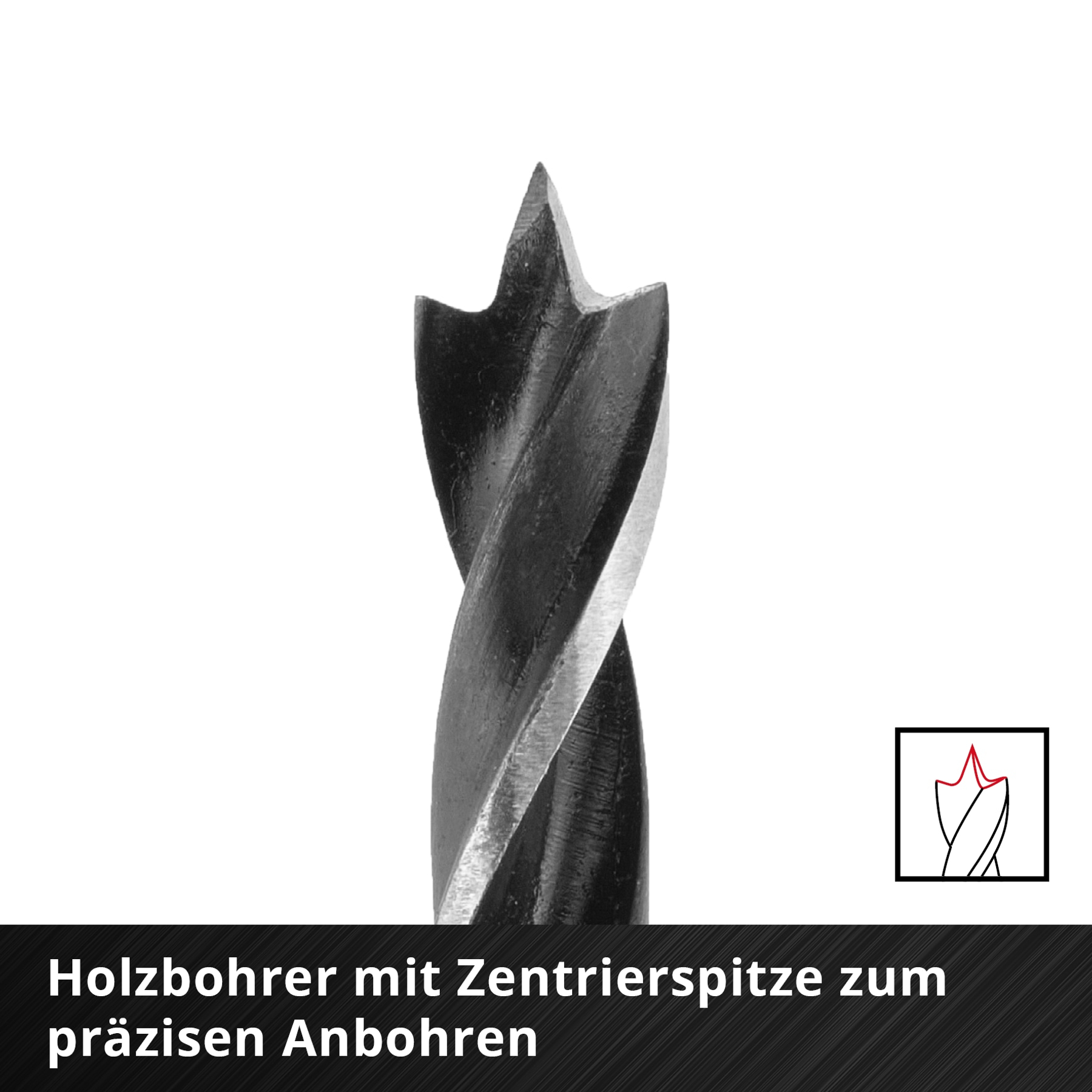 Nahaufnahme eines schwarzen Holzbohrers mit scharfer Spitze und verdrehtem Körper. Der Hintergrund ist weiß mit Text unten.