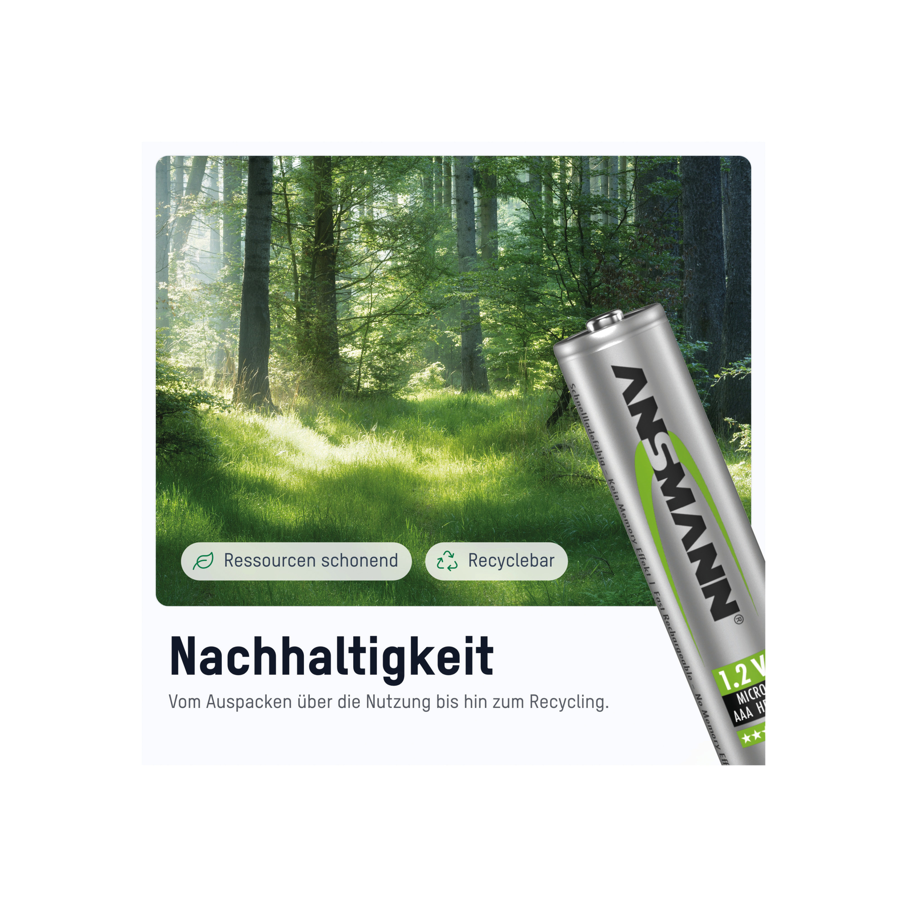 Obraz przedstawia scenę leśną z baterią w prawym rogu. Bateria jest srebrna z zielonym i czarnym tekstem, oznaczonym ANSMANN.