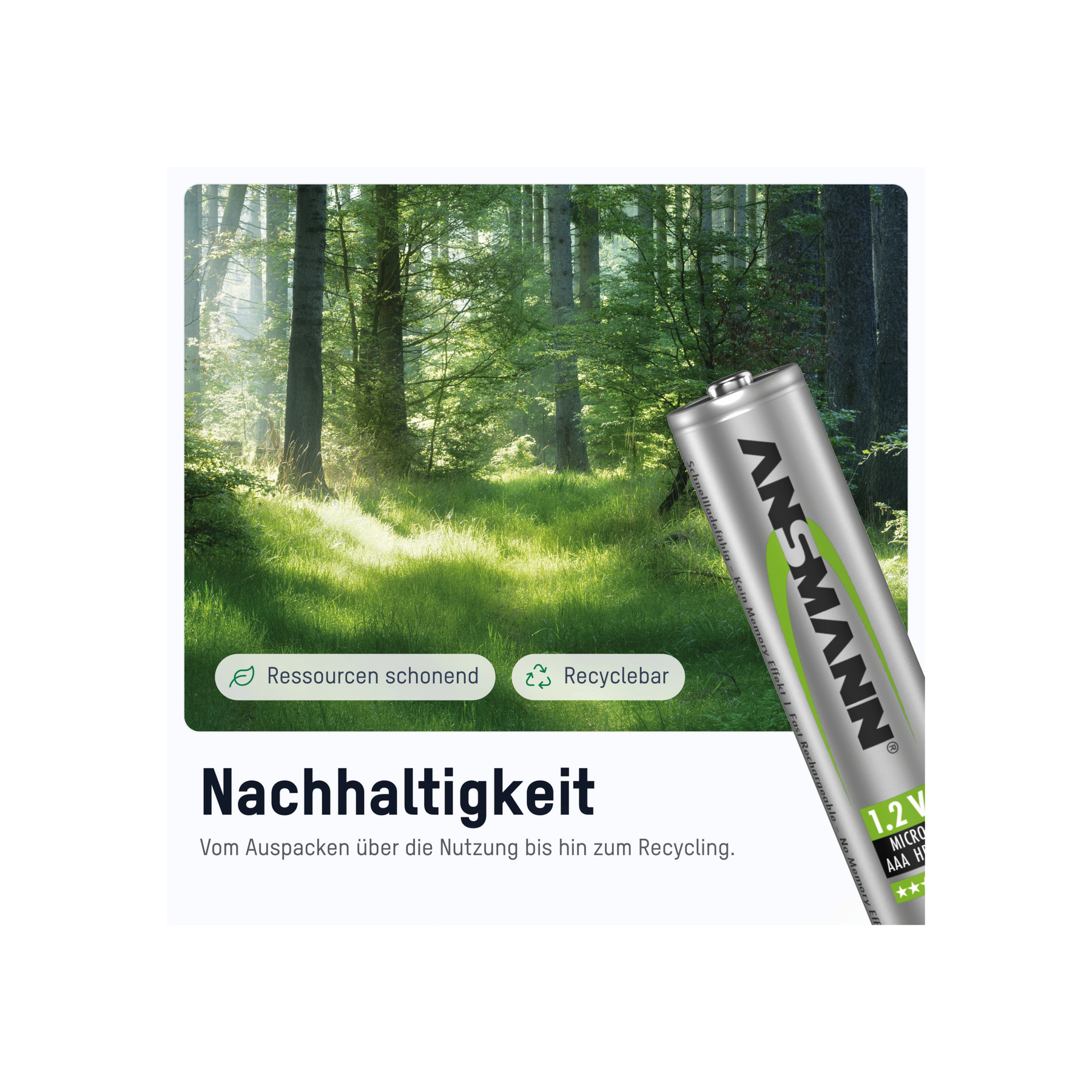 L'immagine mostra una batteria in un ambiente forestale. La batteria è a destra, la foresta sullo sfondo.