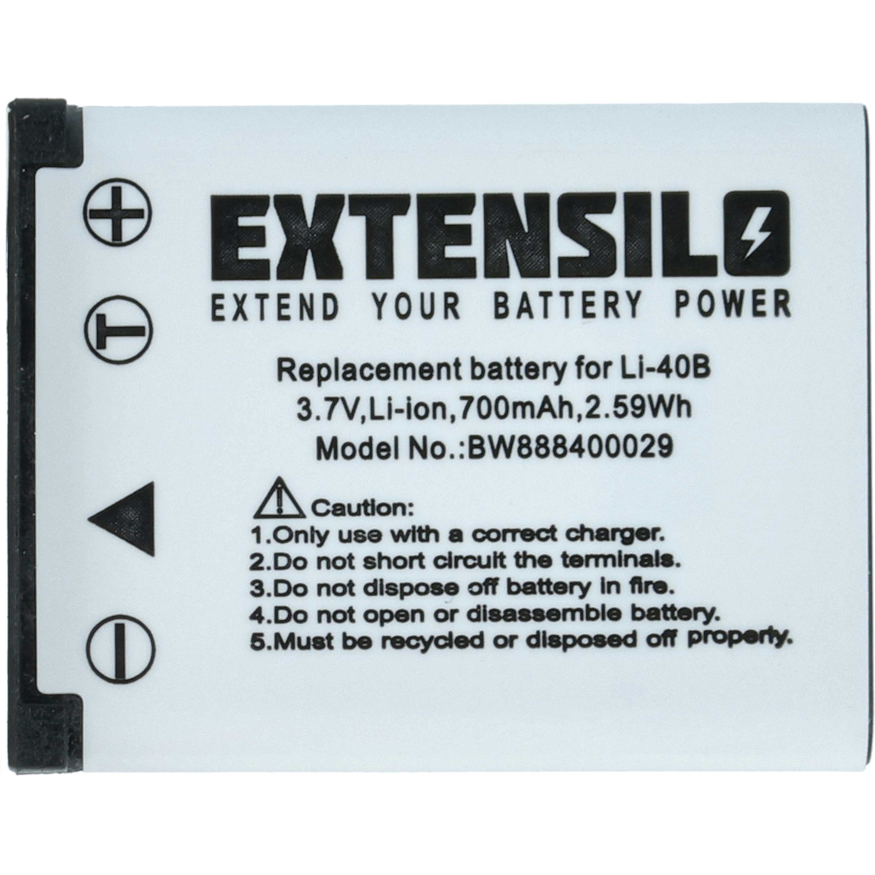 Eine Batterie mit schwarzem Text. Der Text lautet EXTENSILE, EXTEND YOUR BATTERY POWER und Ersatzbatterie.