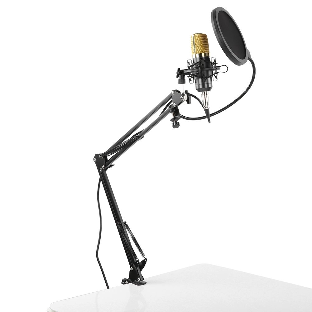Ein Studiomikrofon mit Pop-Filter ist an einem schwarzen Gelenkarm befestigt. Es steht auf einer weißen Oberfläche vor weißem Hintergrund.