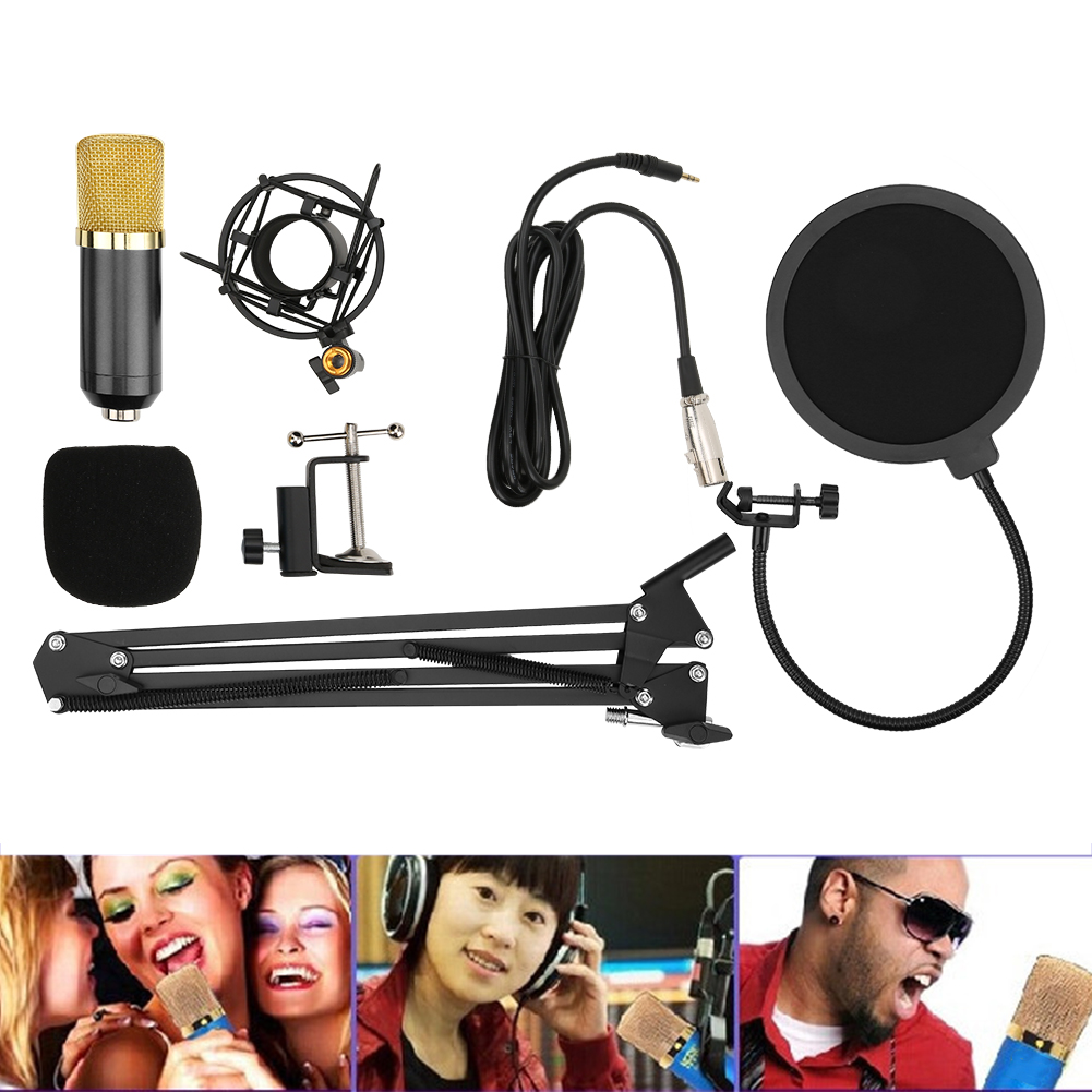 Ein Mikrofon-Set mit Pop-Filter, Halterung und Ausleger. Enthält eine Schaumstoffabdeckung und verschiedene Anschlusskabel. Auch Personen mit Mikros.