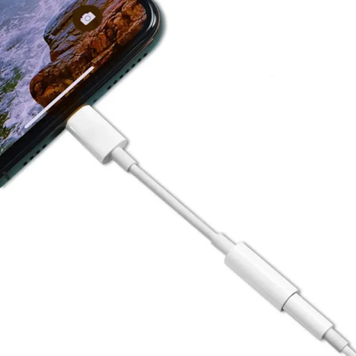 Ein weißes Adapterkabel, das an ein Smartphone angeschlossen ist. Das Telefon zeigt ein Landschaftsbild an. Der Hintergrund ist weiß.