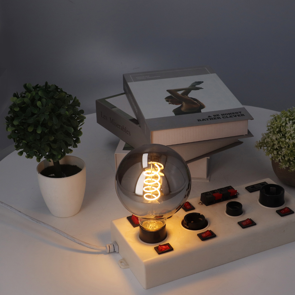 Eine dekorative Glühbirne steht auf einer Steckdosenleiste neben Büchern und kleinen Topfpflanzen. Die Glühbirne leuchtet. Rote Schalter sind sichtbar.