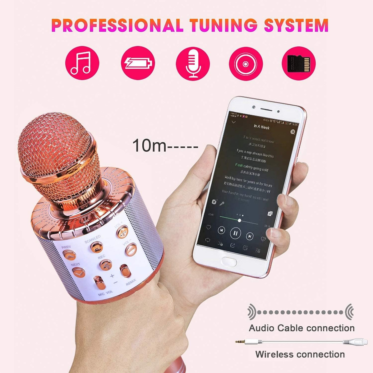 Eine Hand hält ein roségoldenes Mikrofon und ein Smartphone. Text: 'Professional Tuning System'. Symbole und Verbindungstypen sind abgebildet.
