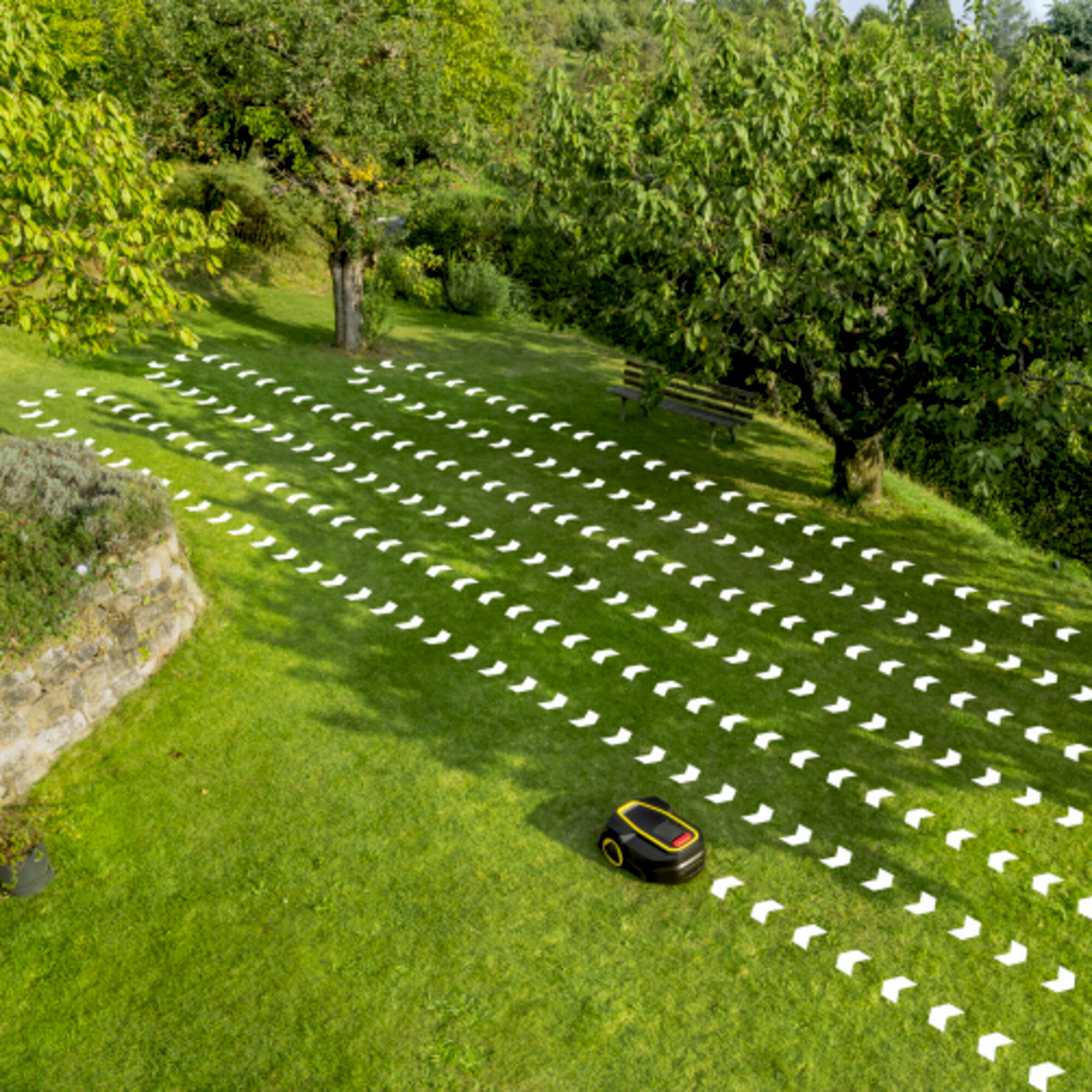 Robot koszący na zielonym trawniku, ze ścieżką wyznaczoną białymi strzałkami. Drzewa i ławka w tle.