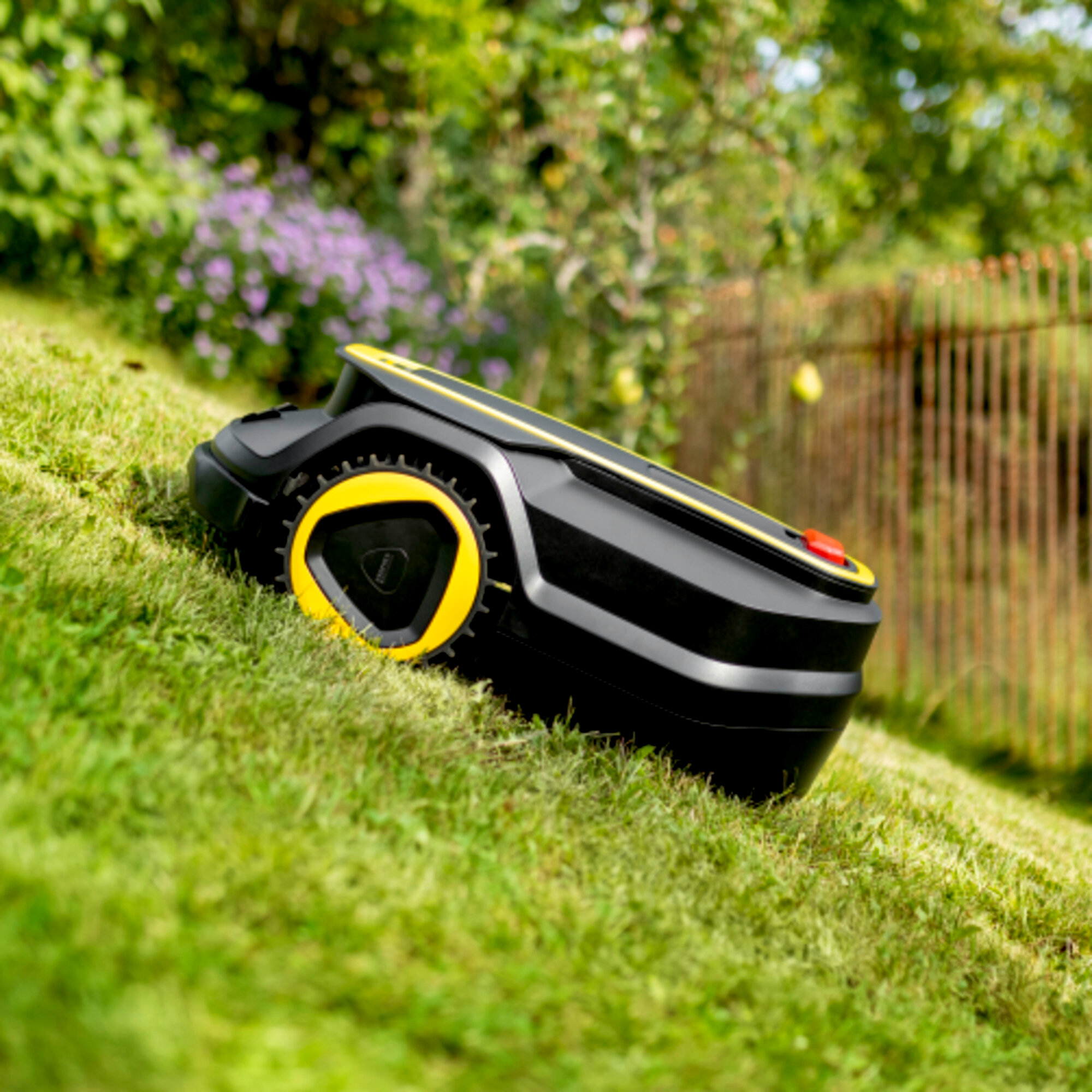 Czarno-żółta kosiarka automatyczna na zielonym, trawiastym wzgórzu. Tło to płot i rozmyte zielone liście.