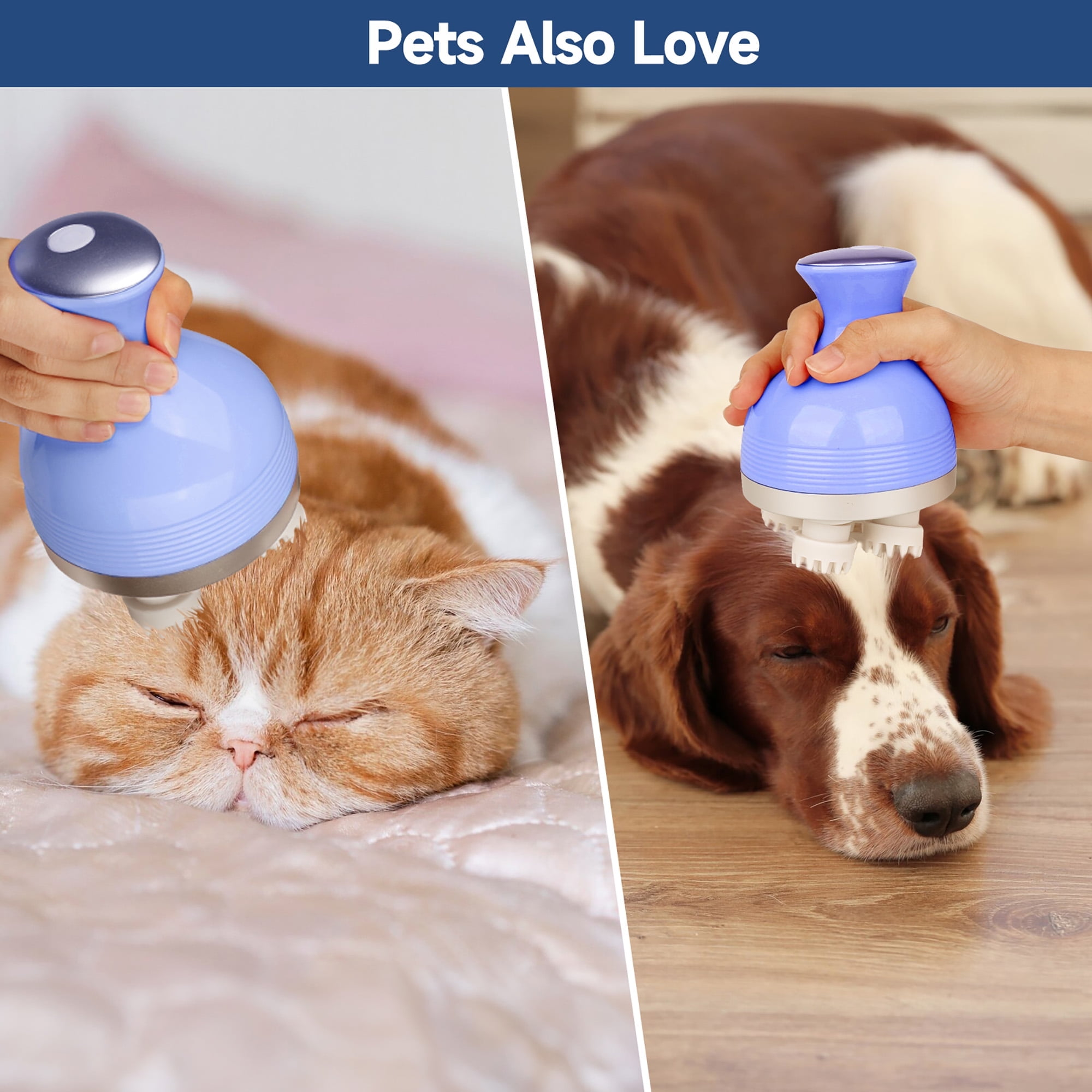 Das Bild zeigt eine Katze und einen Hund, die mit einem blauen Gerät massiert werden. Die Katze ist orange und der Hund braun und weiß.