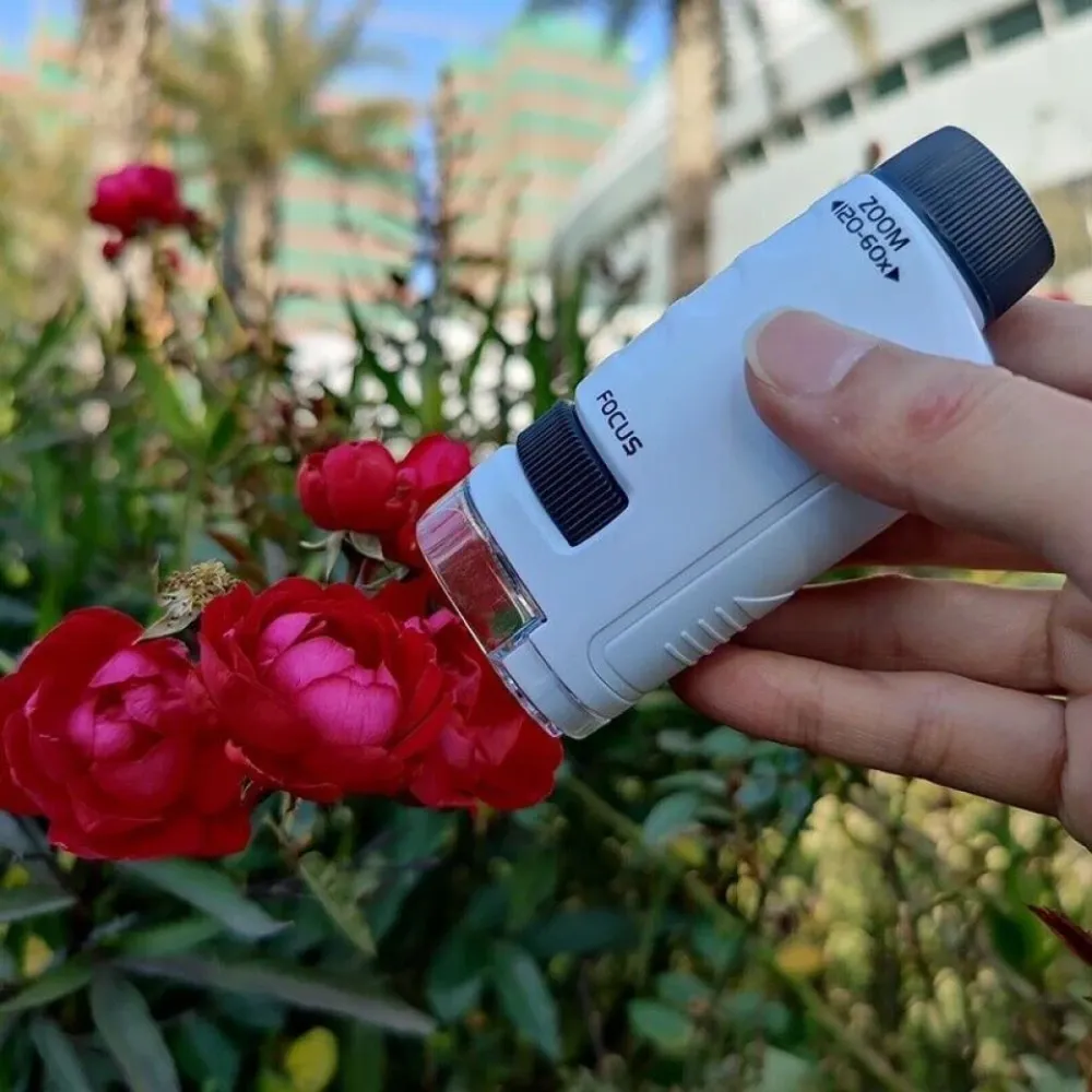 Eine Hand hält ein weißes Mikroskop über roten Rosen. Der Hintergrund zeigt grünes Laub und Gebäude unter sonnigem Himmel.