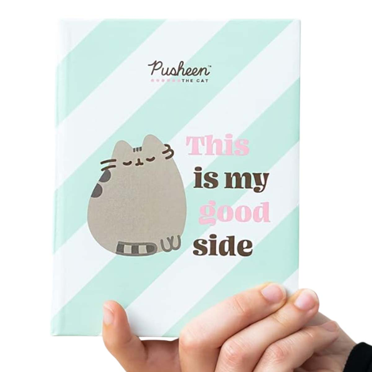 Une main tient un cahier. La couverture présente une illustration de chat et le texte 'This is my good side'.