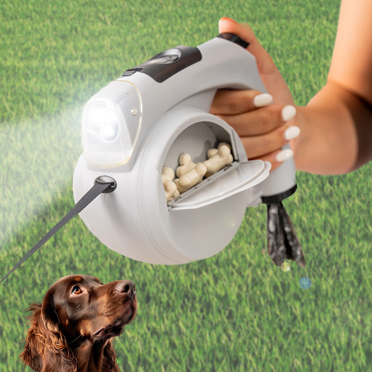 Ein Hund blickt auf einen weißen Leinen-Spender mit Leckerlis und einer Taschenlampe. Eine Hand hält den Spender. Grünes Gras im Hintergrund.