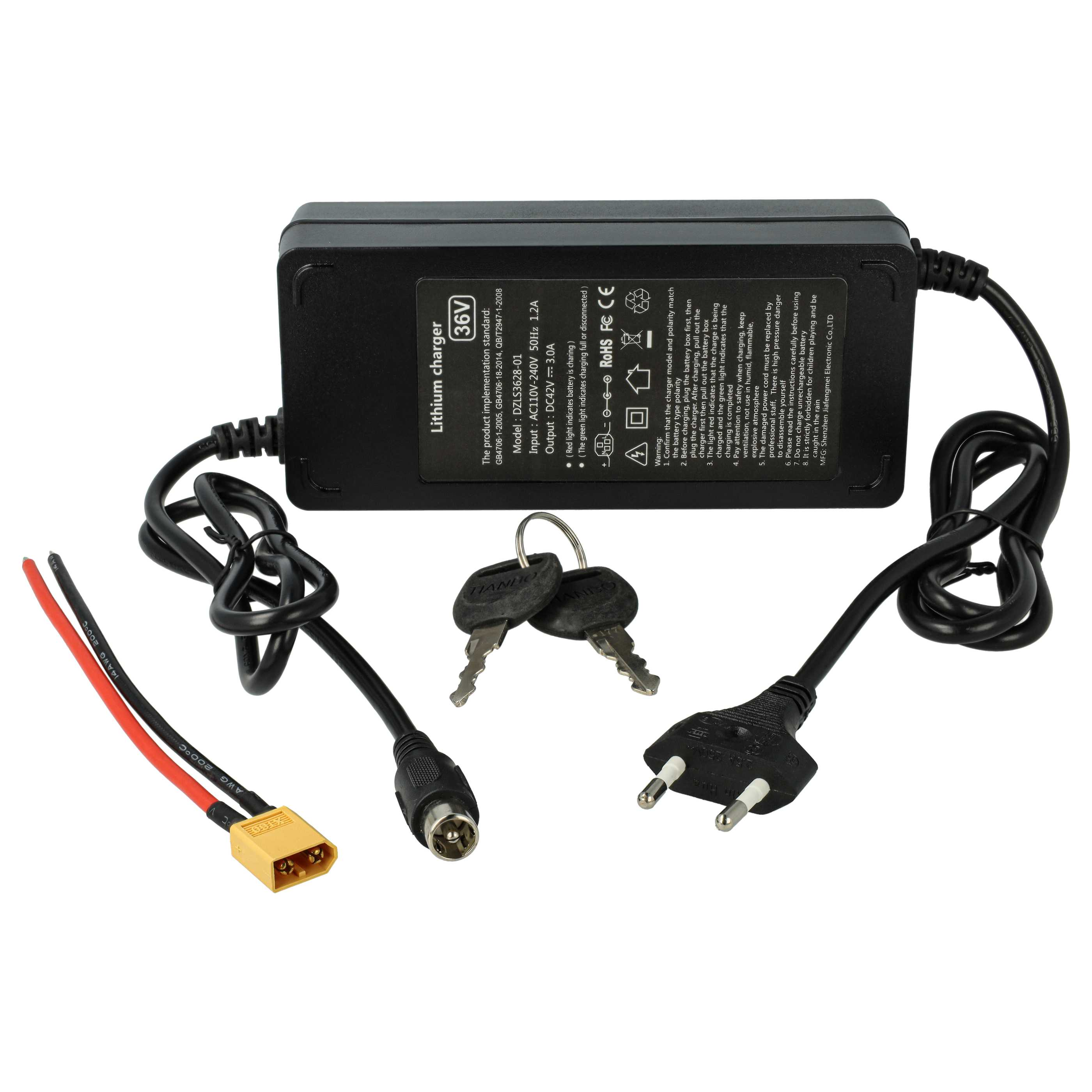 Ein schwarzes Lithium-Ladegerät mit Kabeln, einem Stecker, zwei Schlüsseln und einem gelben Stecker. Details sichtbar.