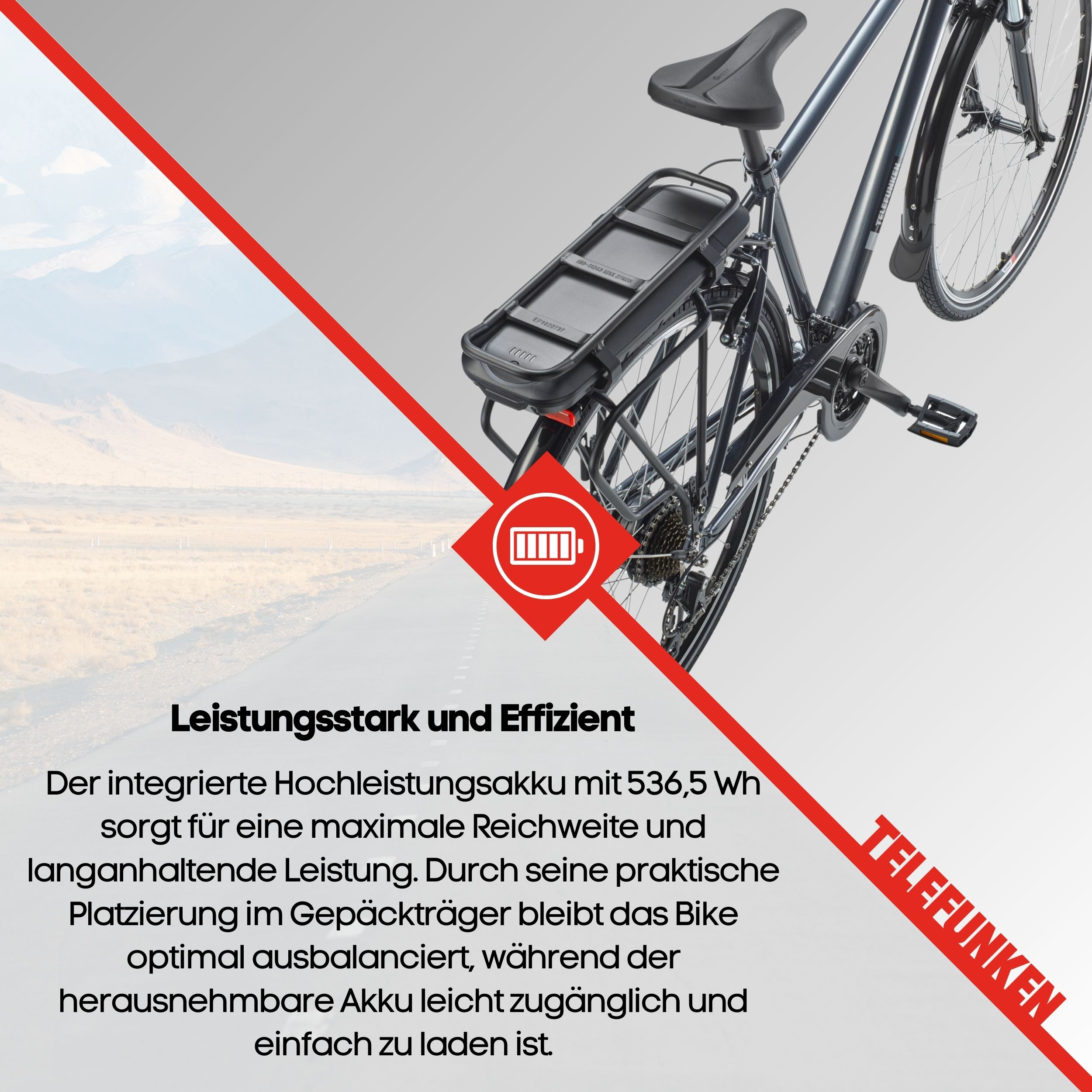 Ein E-Bike mit schwarzem Akku auf dem Rücken. Text: Leistungsstark und Effizient, Telefunken.