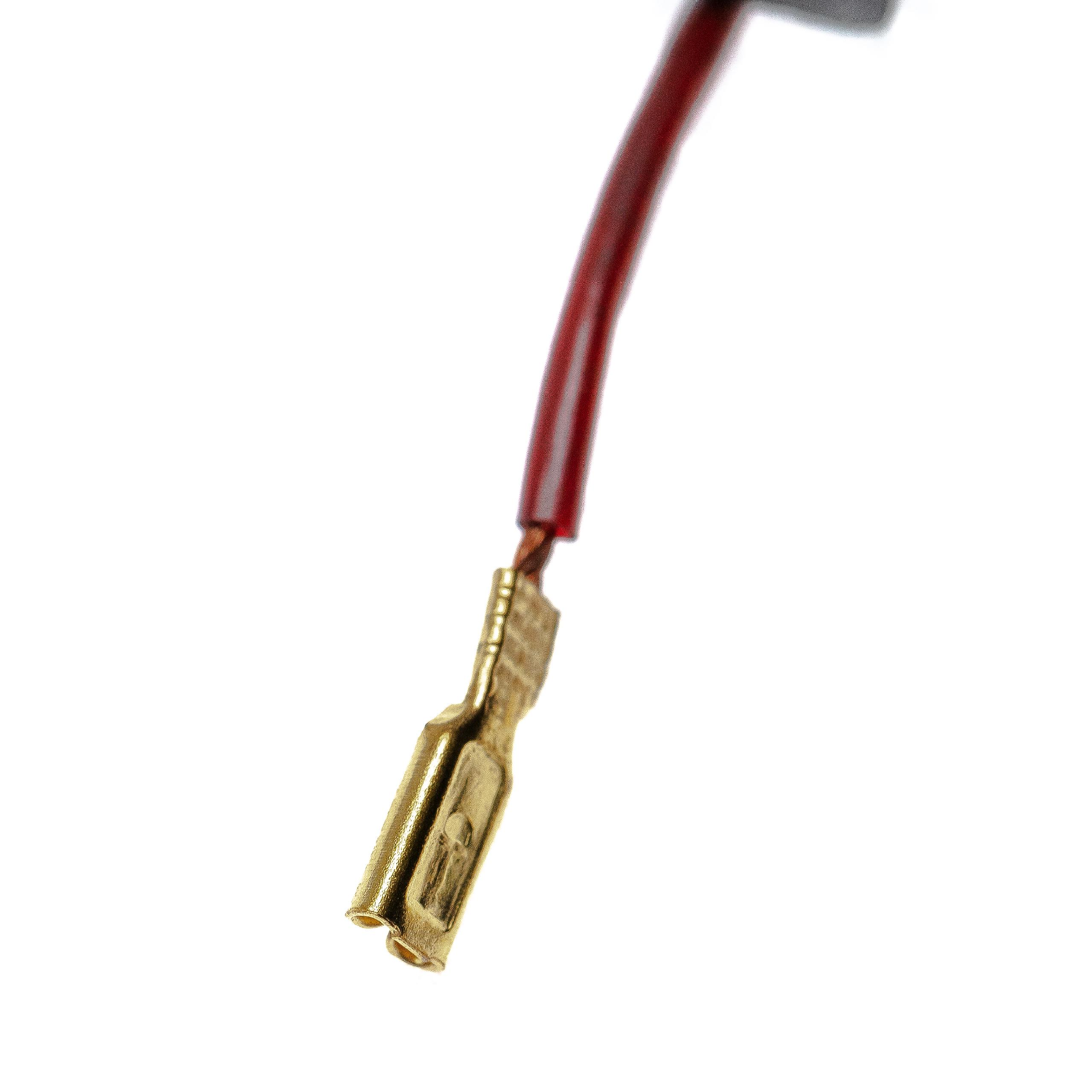 Nahaufnahme eines roten Kabels, das mit einem goldfarbenen elektrischen Stecker vor weißem Hintergrund verbunden ist.
