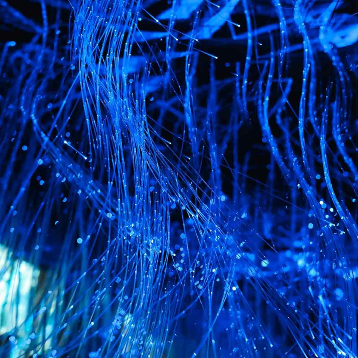 Abstraktes Bild blauer, leuchtender Fasern vor dunklem Hintergrund. Einige Fasern haben kleine, helle, weiße Punkte.