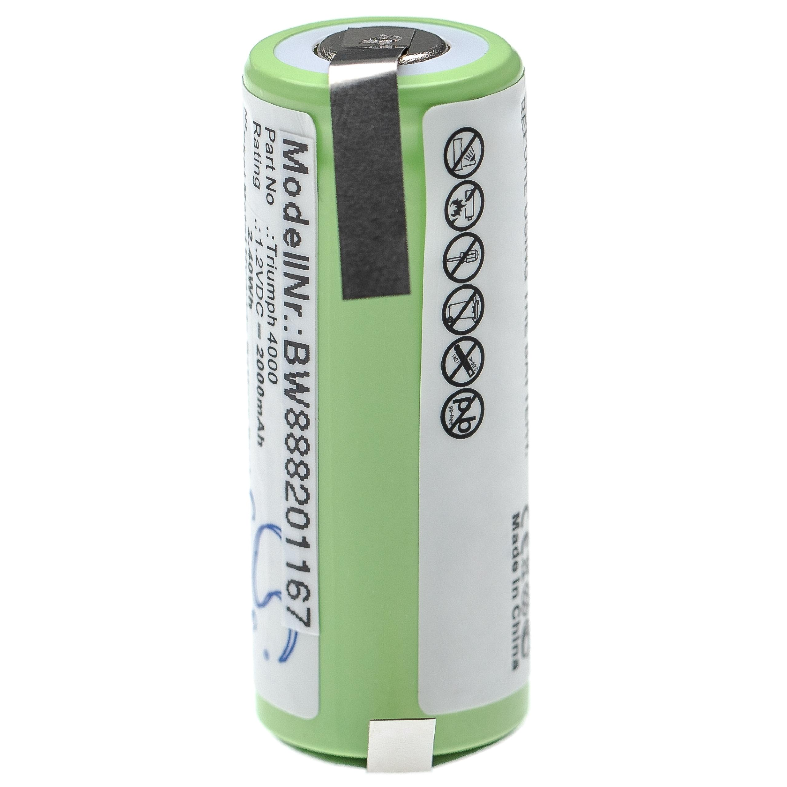 Eine grüne zylindrische Batterie mit Etiketten. Es hat eine Metalloberseite und einen weißen Hintergrund.