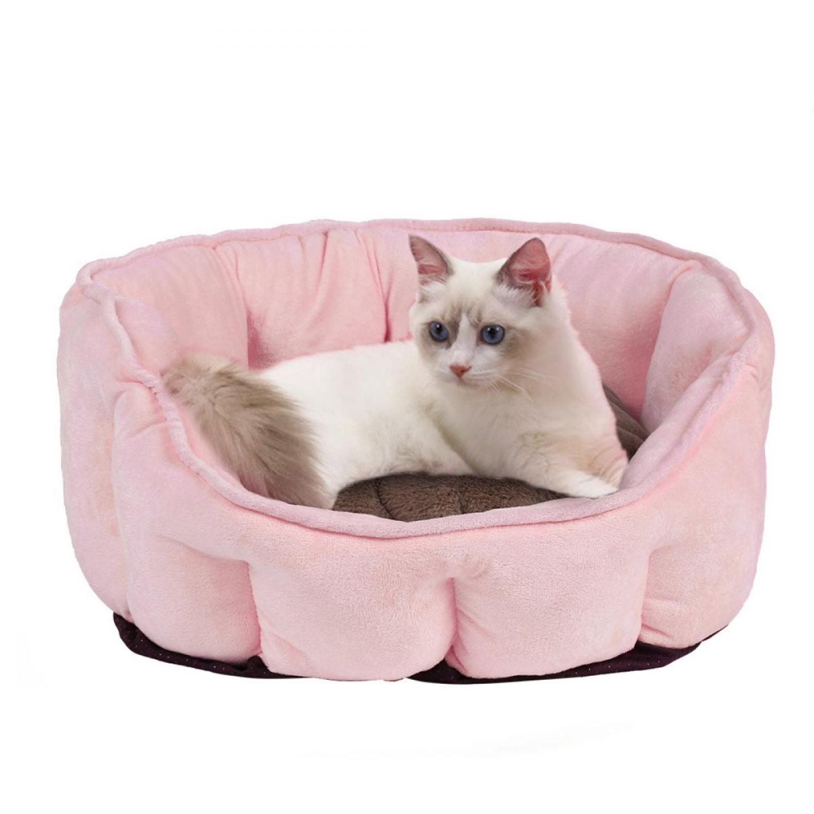 Eine weiße Katze mit blauen Augen liegt in einem rosa Bett. Das Bett ist blütenblattförmig und liegt auf weißem Grund.