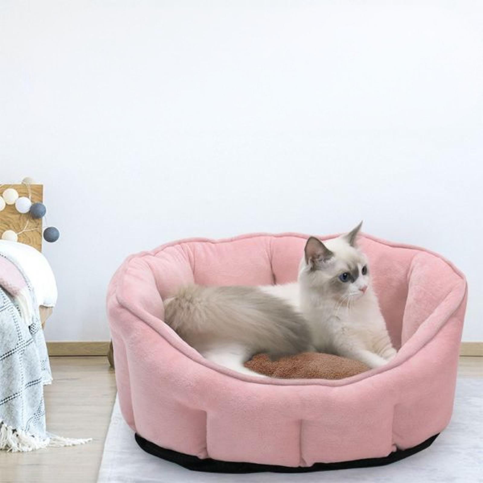 Eine Katze ruht in einem rosa Haustierbett. Die Katze ist weiß und grau. Das Bett steht auf einem Teppich. Im Hintergrund sind ein Bett und eine Wand zu sehen.