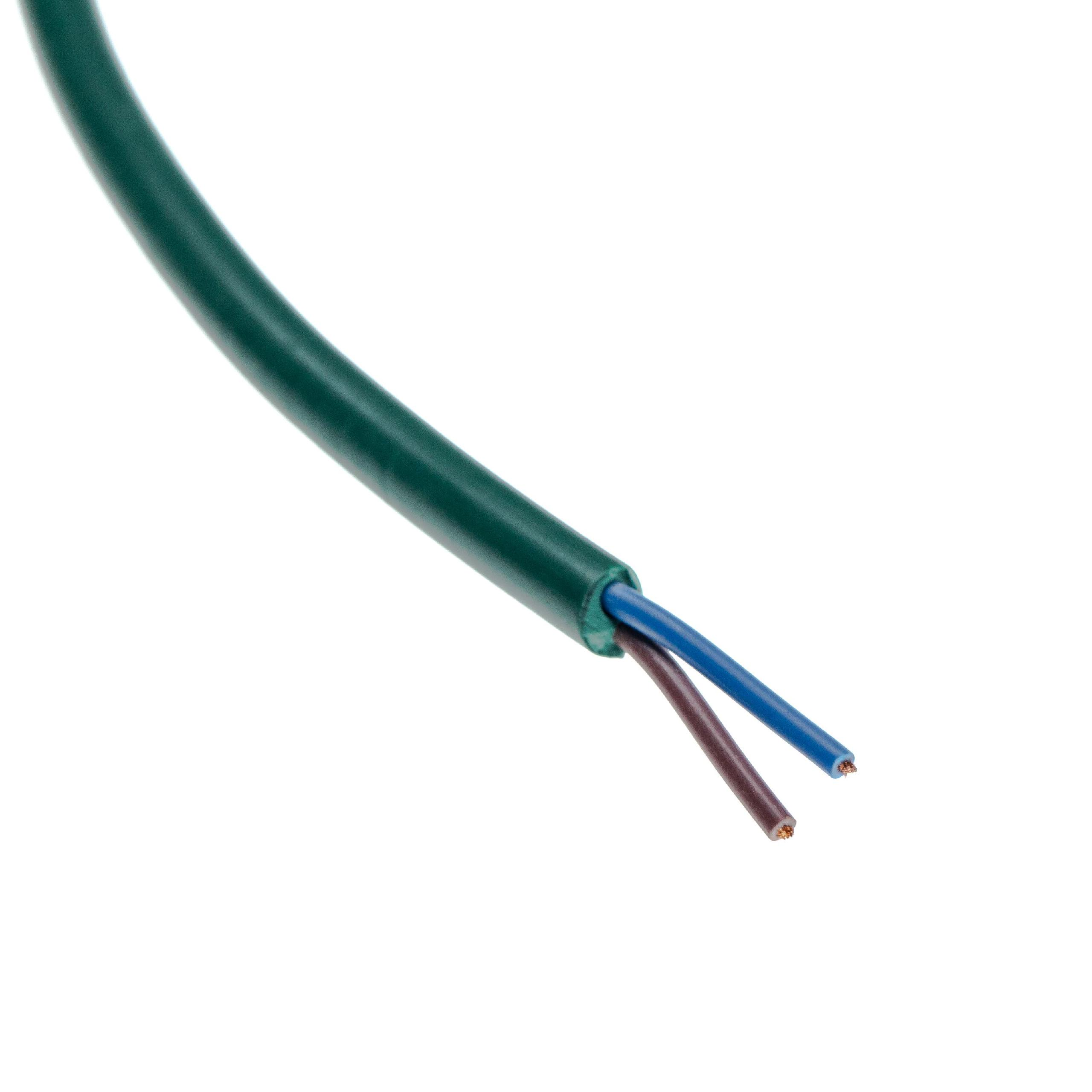 Grünes Kabel mit zwei freiliegenden Drähten: blau und braun. Weißer Hintergrund.