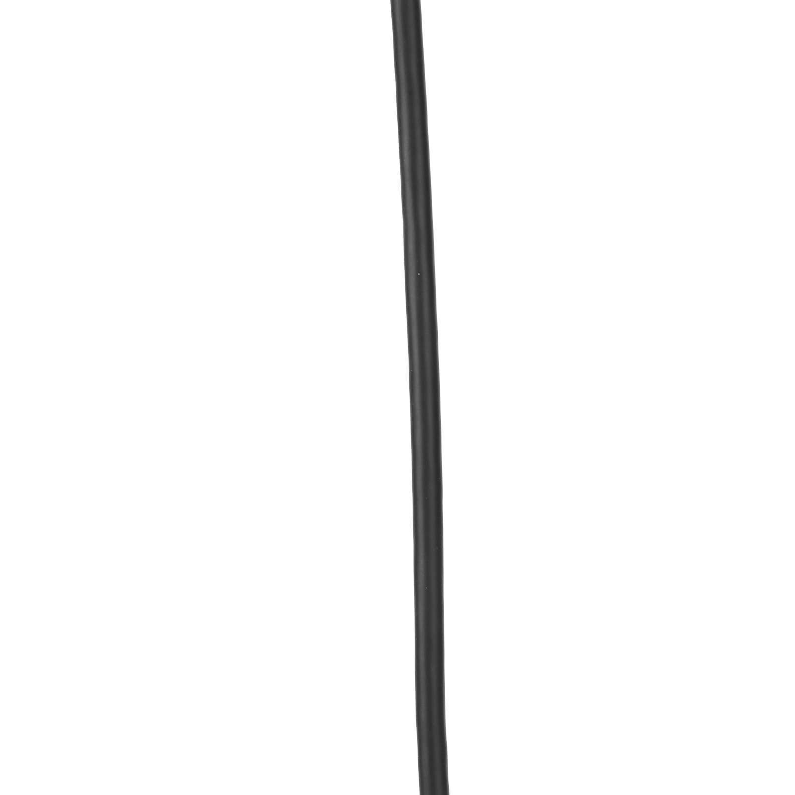Ein schwarzes Kabel liegt vertikal vor weißem Hintergrund. Das Kabel ist leicht gekrümmt.