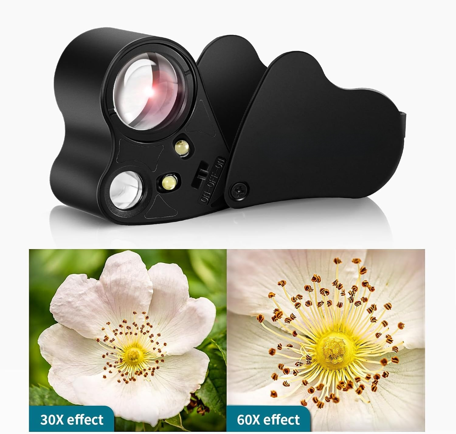 Schwarze Lupe mit LED-Leuchten über zwei Blumenbildern. Eines zeigt einen 30-fachen und das andere einen 60-fachen Effekt.