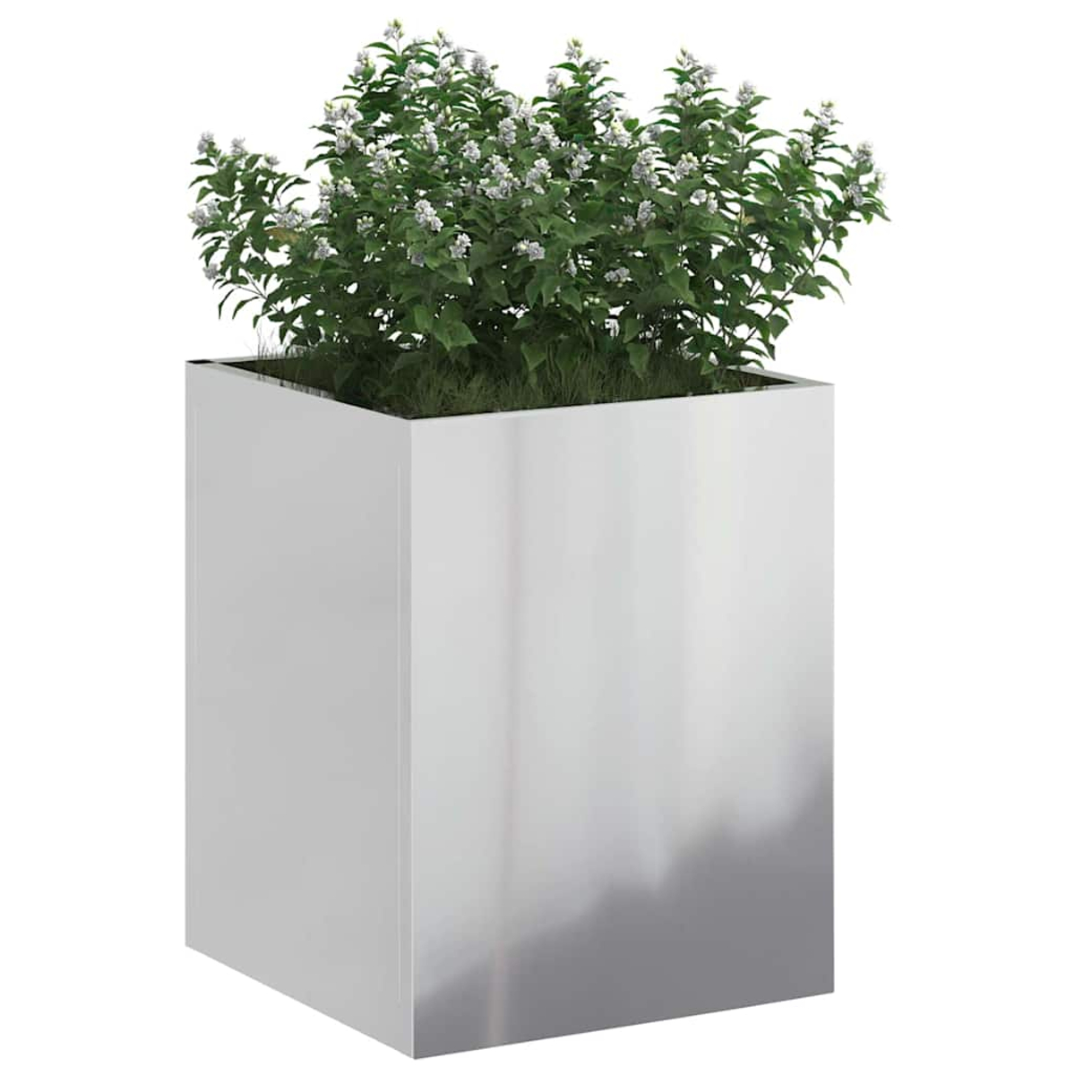 Ein quadratischer, metallischer Pflanzkübel enthält eine grüne Pflanze mit kleinen weißen Blüten. Der Pflanzkübel ist glänzend und spiegelt die Umgebung wider.