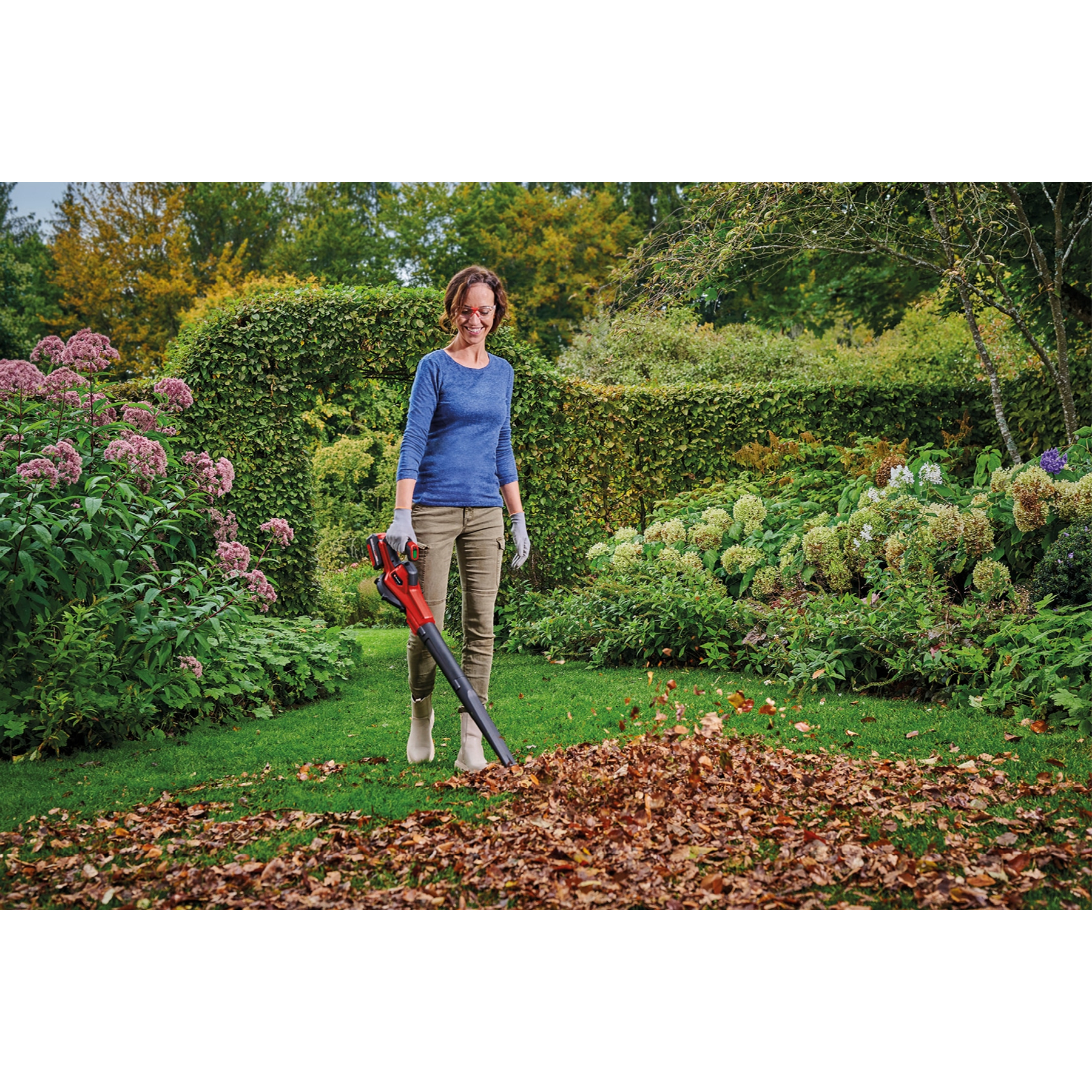 Kobieta używa dmuchawy do liści w ogrodzie. Liście są zdmuchiwane w stos. Zielony trawnik, krzewy i drzewa w tle.