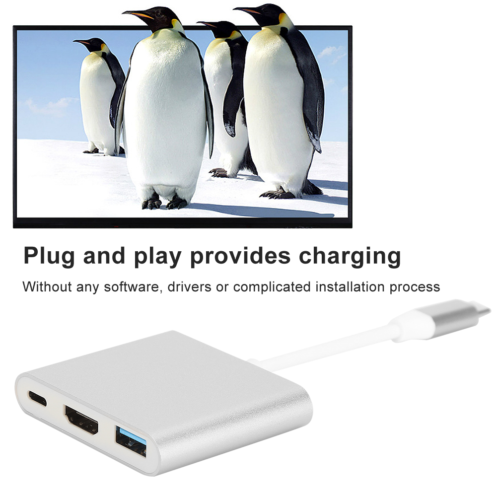 Ein silberner USB-C-Adapter ist mit einem Monitor verbunden, der Pinguine zeigt. Der Text darunter lautet 'Plug and play provides charging'.