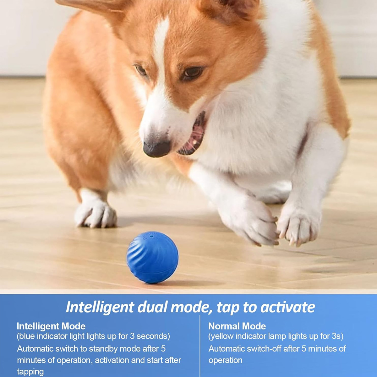 Ein Corgi-Hund konzentriert sich auf einen blauen Ball auf dem Boden. Der Hund ist in Bewegung, sein Maul ist geöffnet. Text zum intelligenten Dualmodus unten.