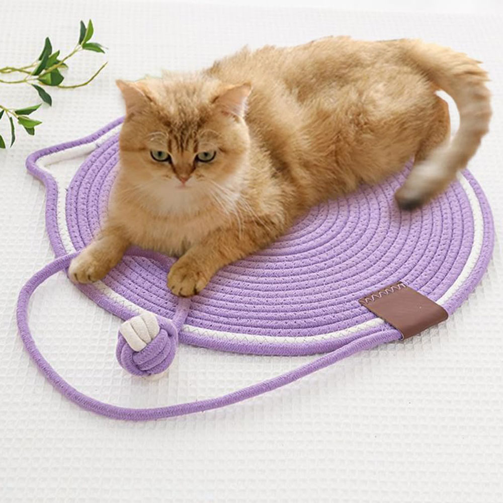 Eine goldfarbene Katze ruht auf einer lilafarbenen Matte mit einem Spielzeug. Die Matte hat einen weißen Rand. Die Katze ist der Hauptfokus.